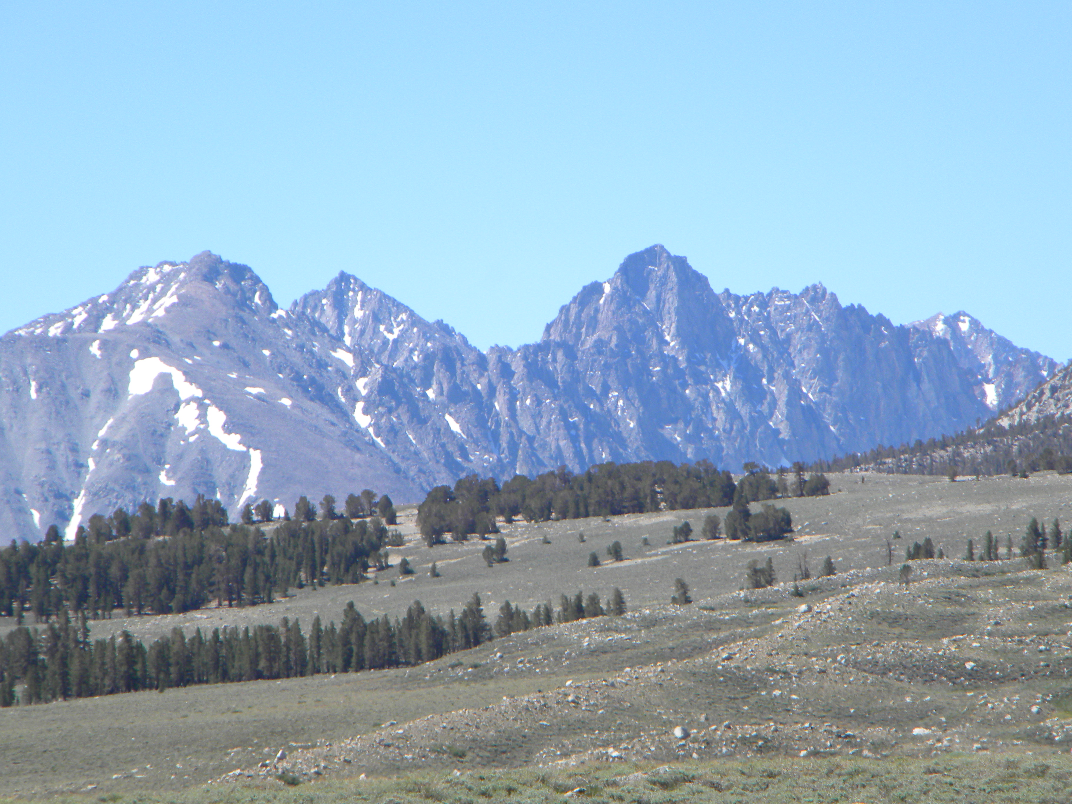 Inyo National Forest - White Mountain Ranger District