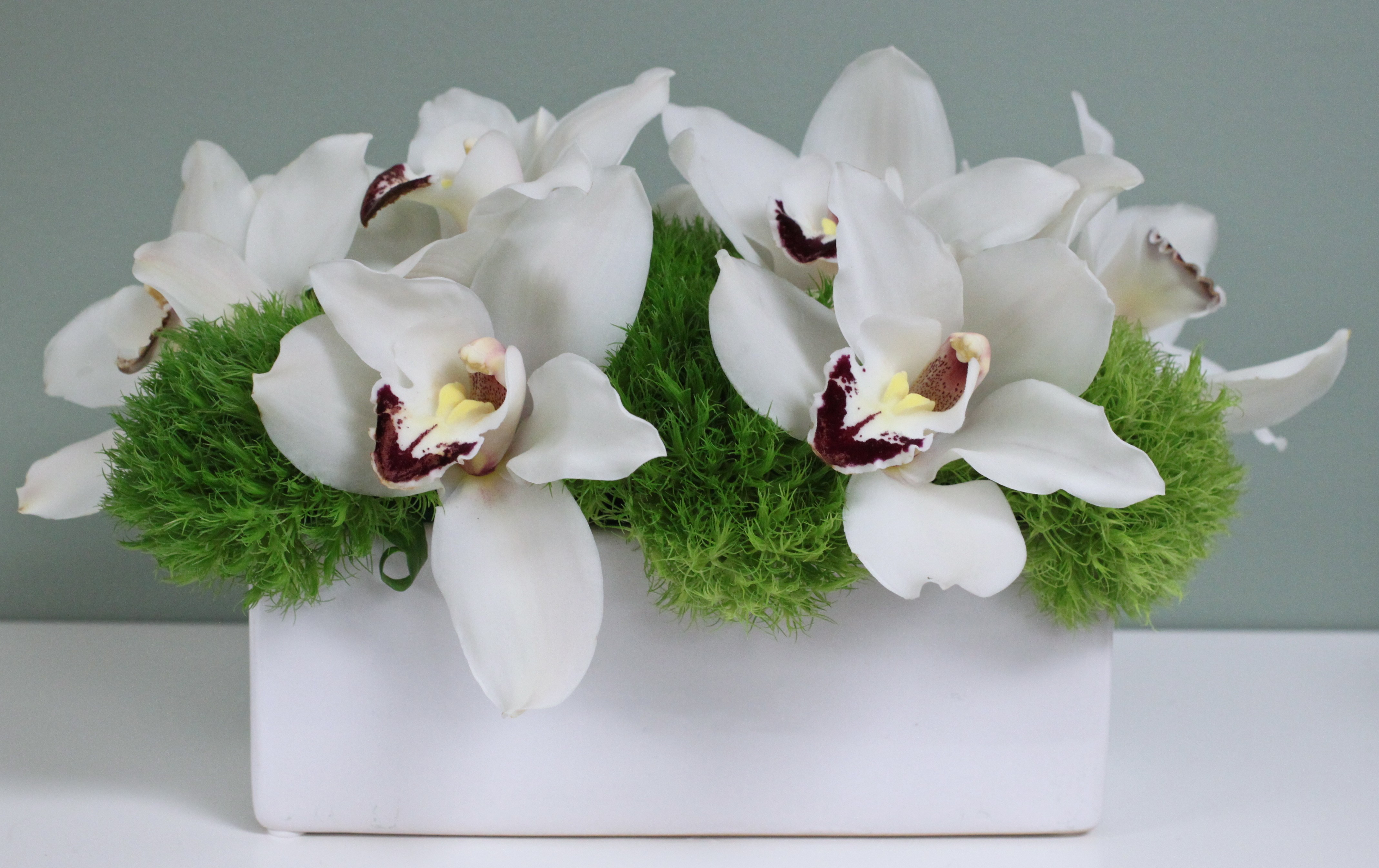White Orchids For The Desk in Phoenix, AZ | Designs By Zima