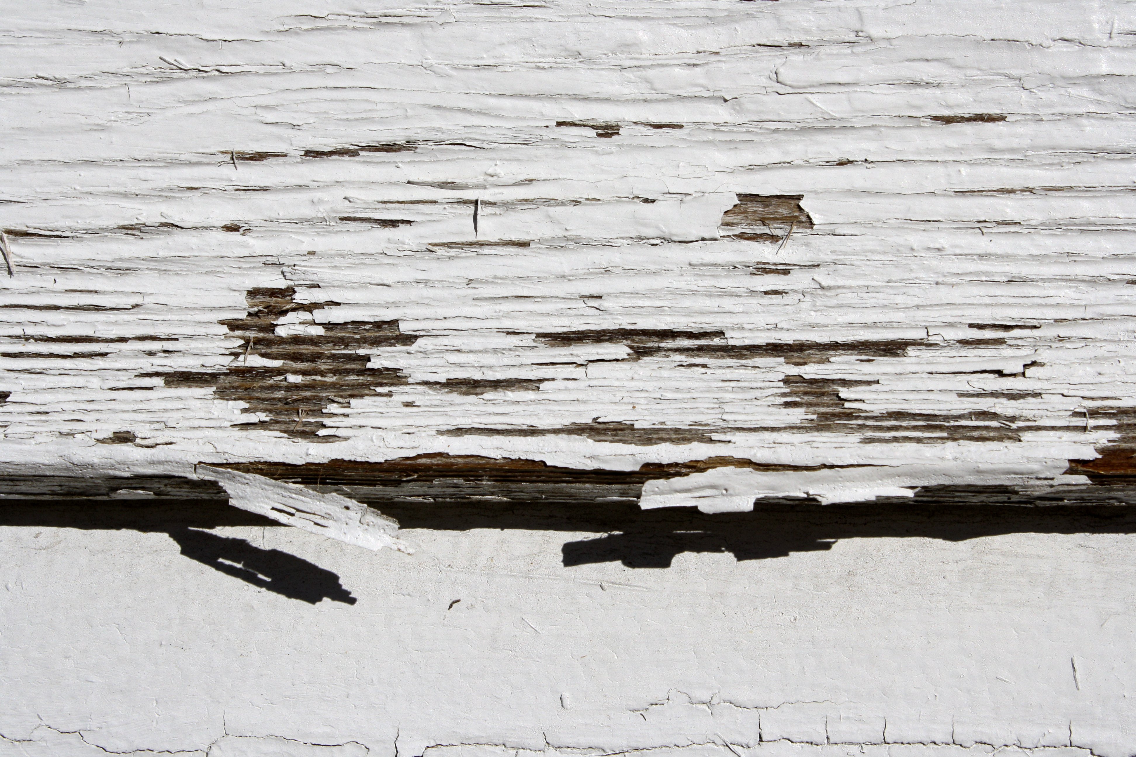 Peeling White Paint Texture Picture | Free Photograph | Photos ...