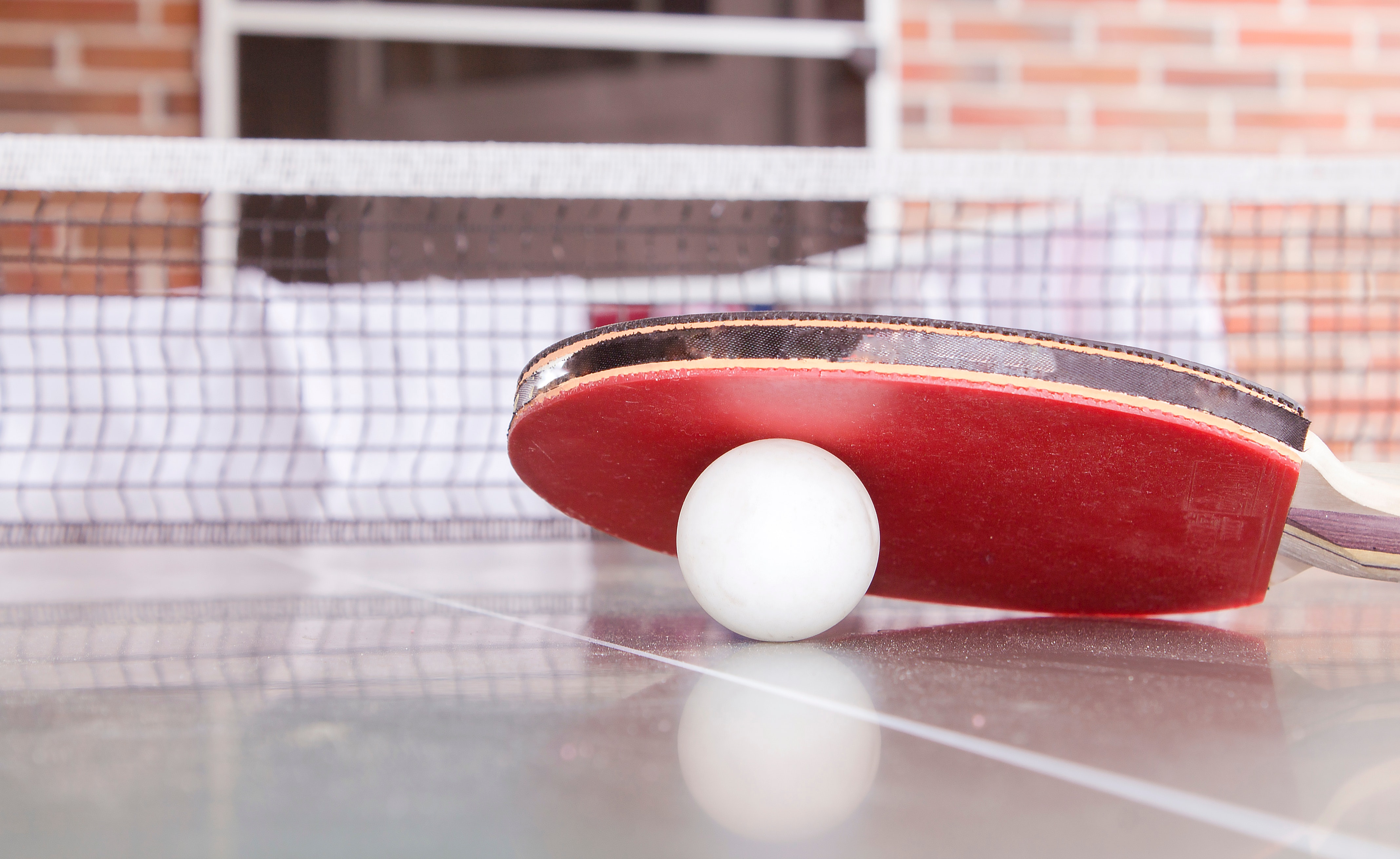 White pingpong ball beneath red table tennis paddle photo
