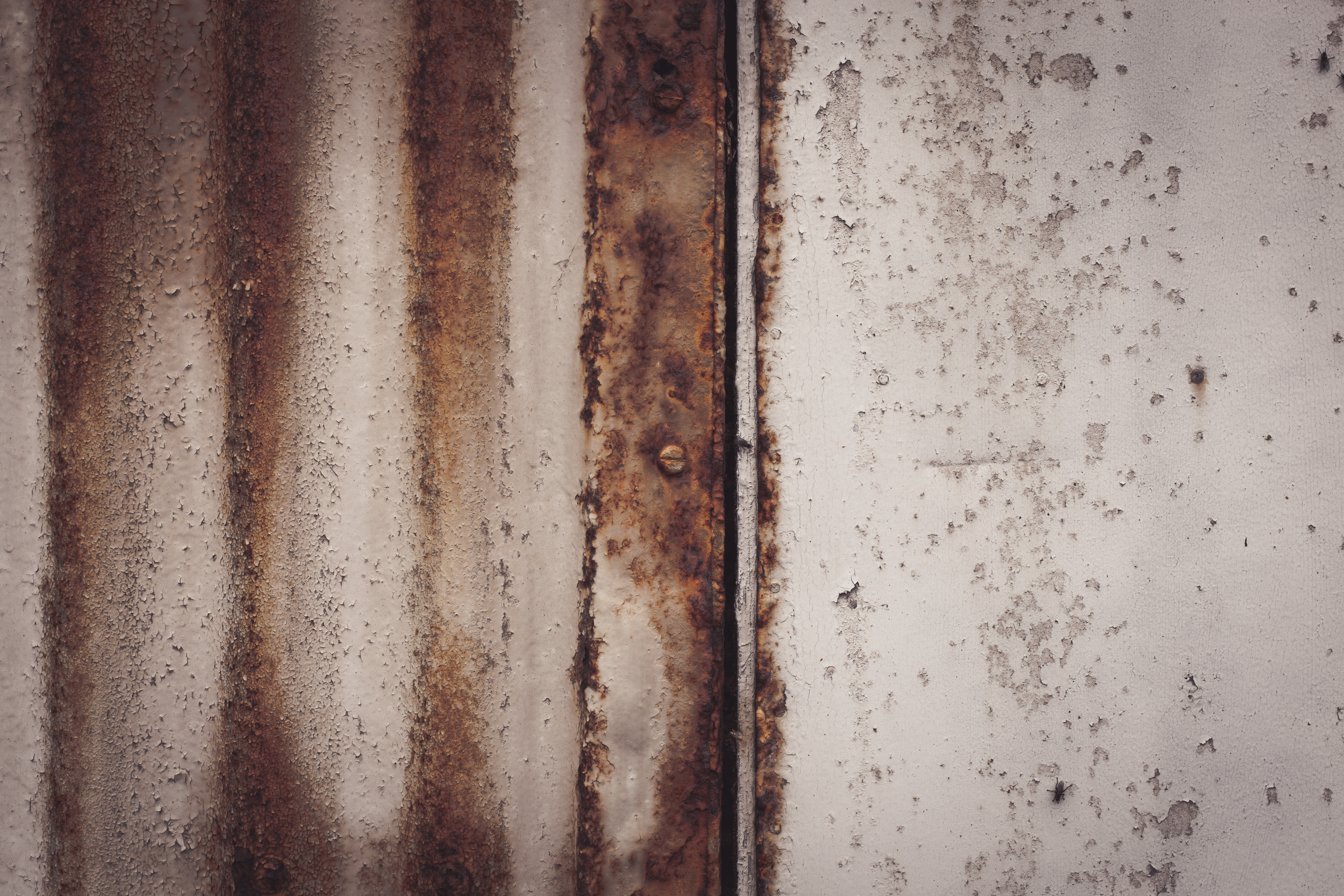White rusted corrugated texture photo