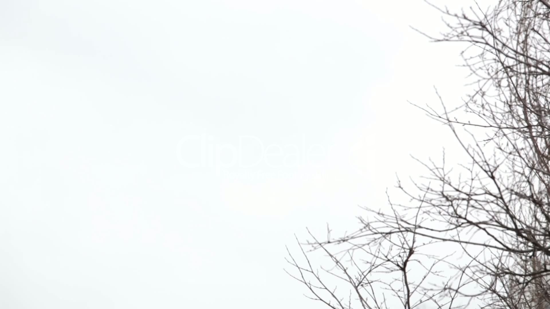 white-sky.jpg | Darryl 'Daz' Carter