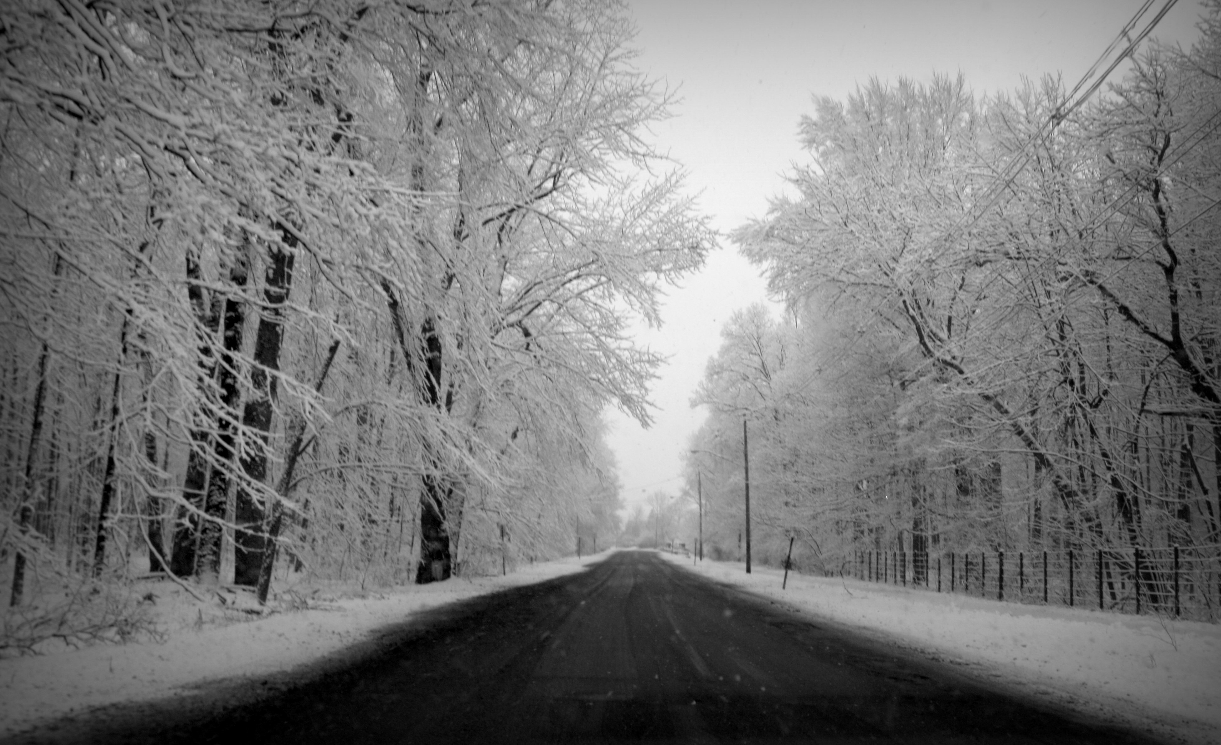 black and white snow | gypsy