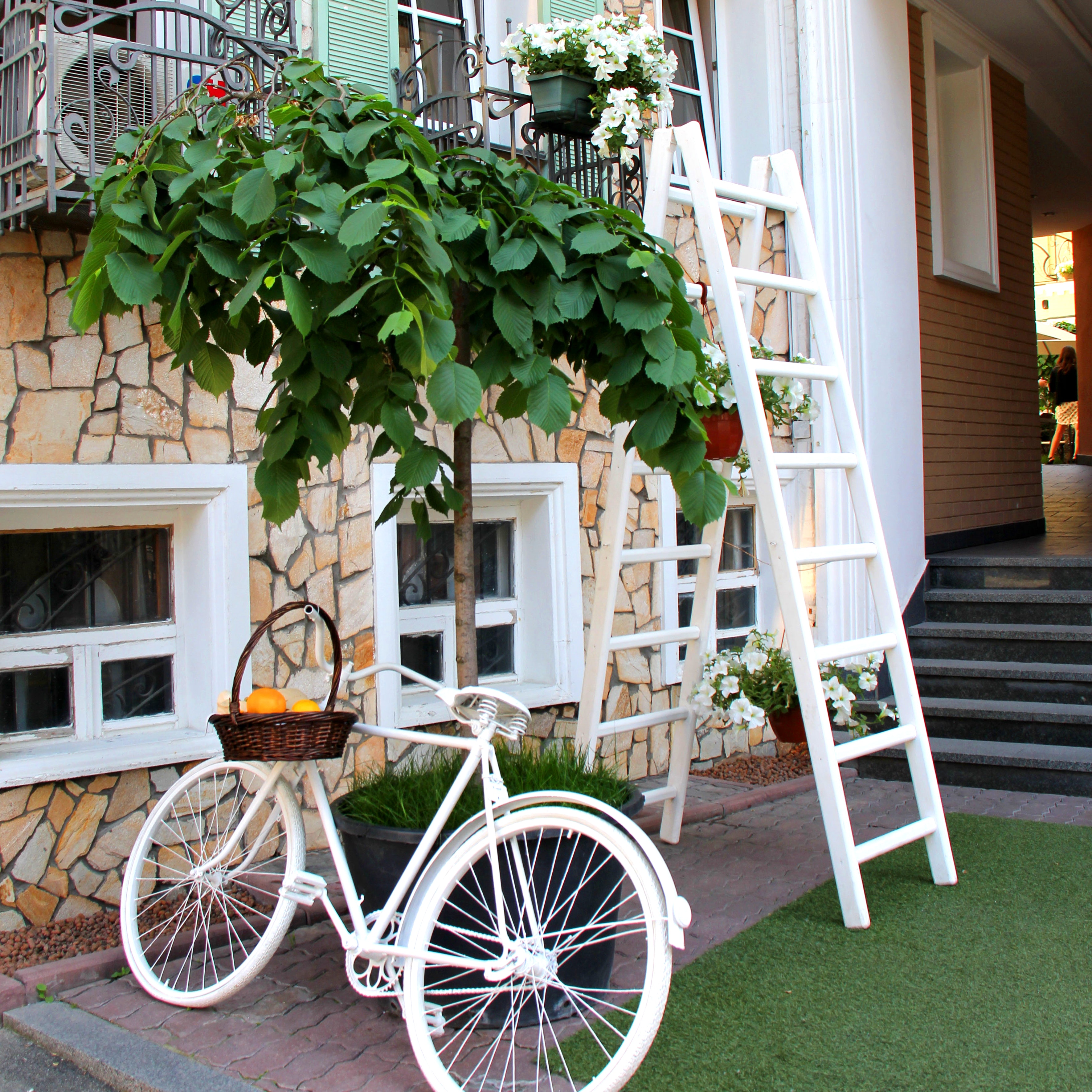 White step through bicycle leaning beside tree plant photo