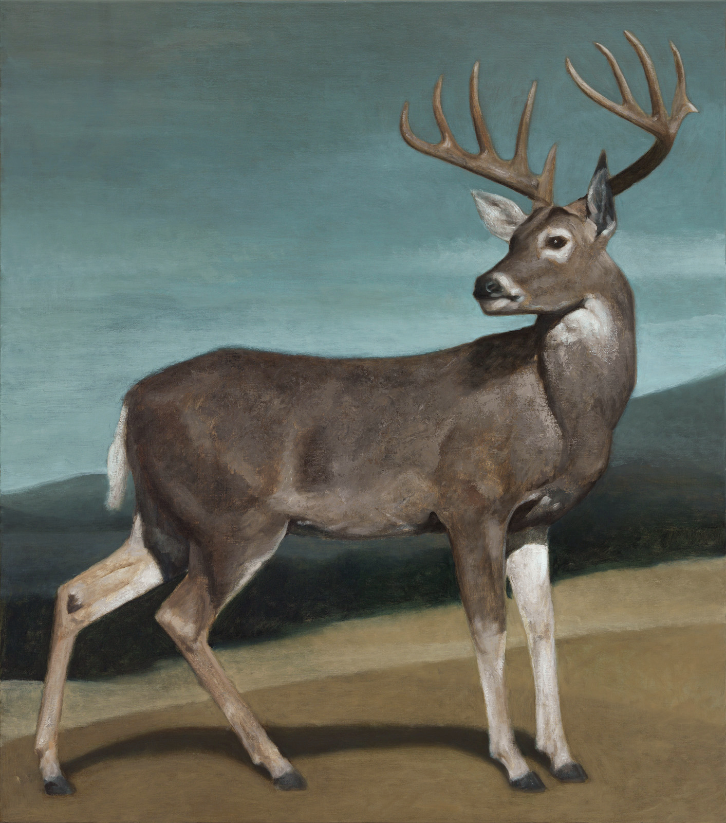 White-Tailed Deer | ARTCONNECT