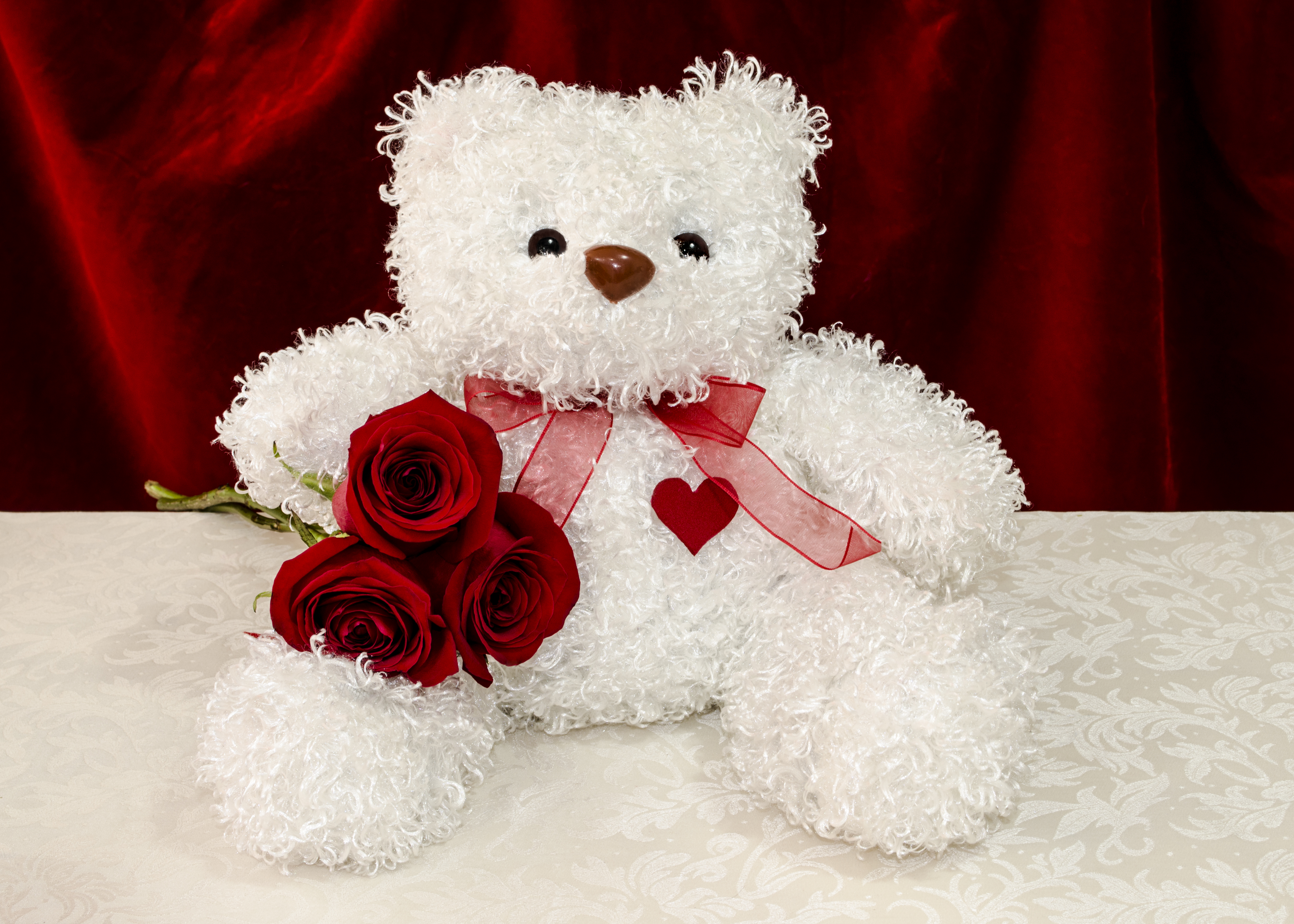 White teddy bear with red roses, Bear, Boyfriend, Christmas, Forever, HQ Photo
