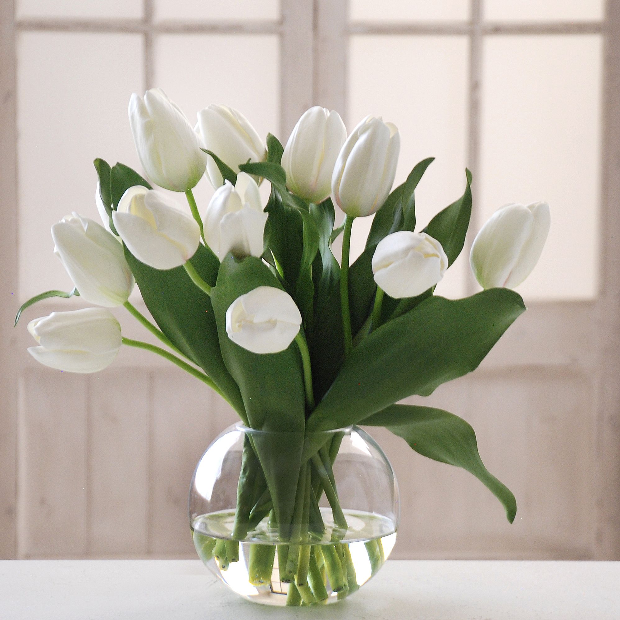 White Tulips in Bubble Bowl | Flowers, Flower arrangements and Gardens