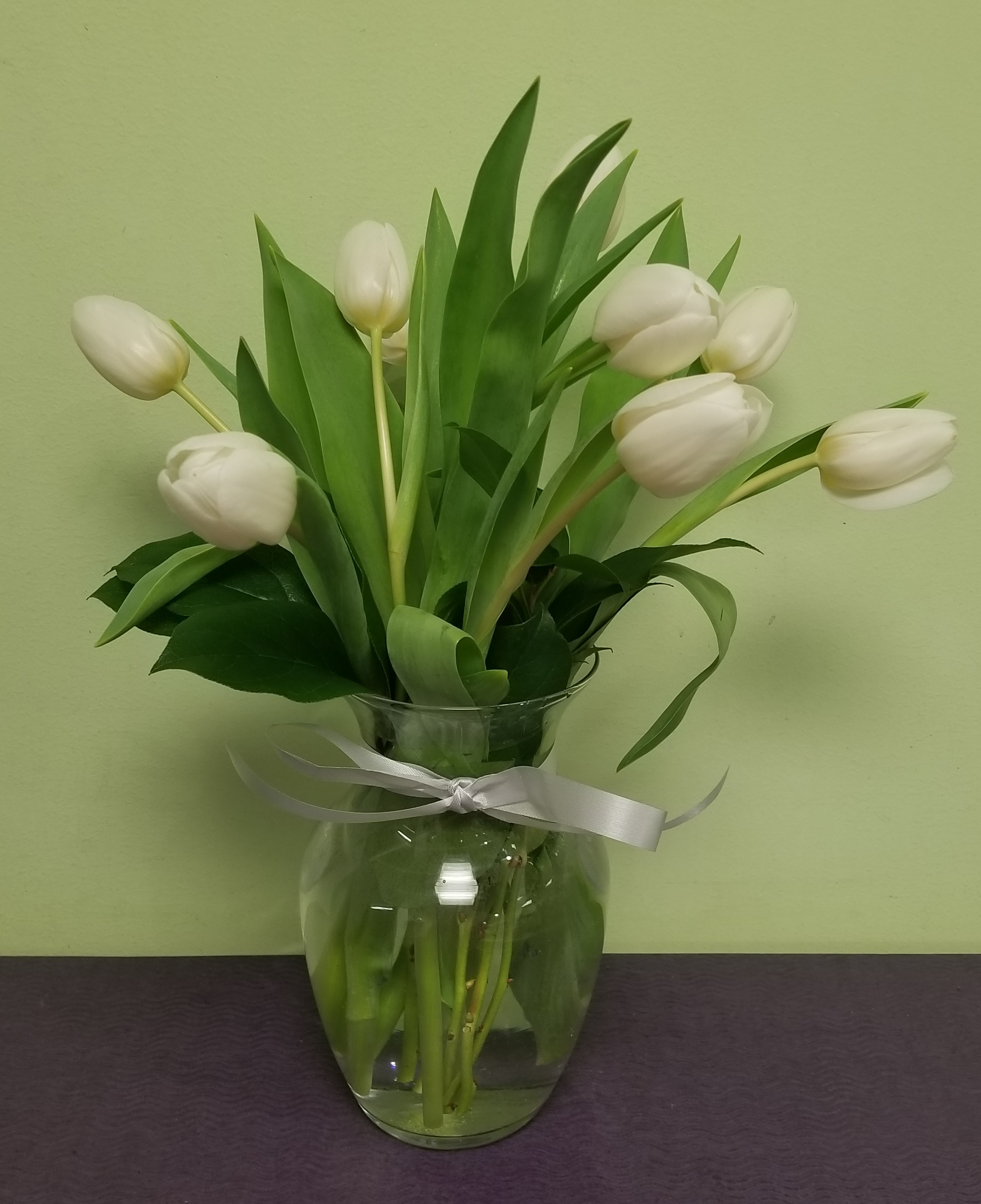 White tulips photo