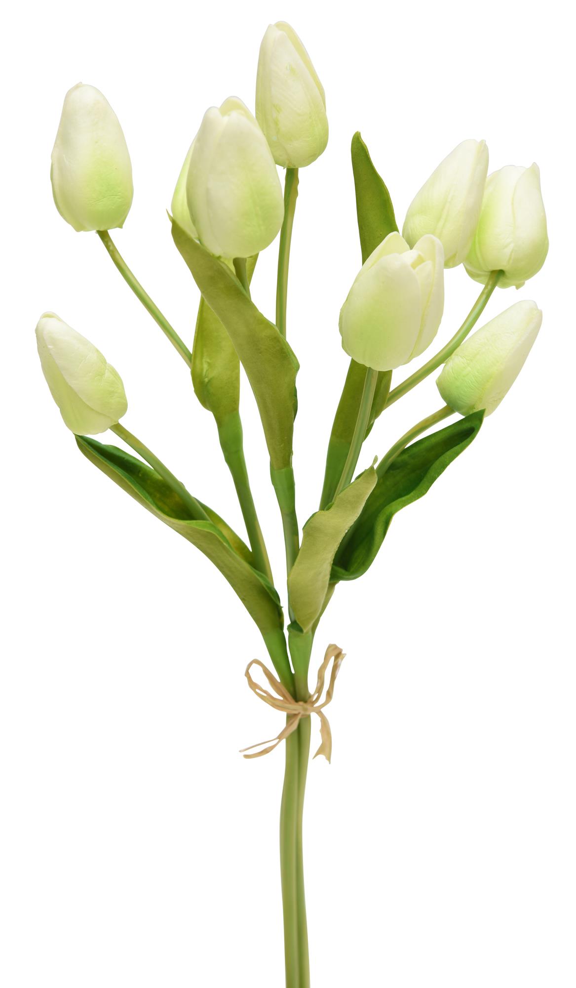 Bouquet of White Tulips | Weir's Furniture