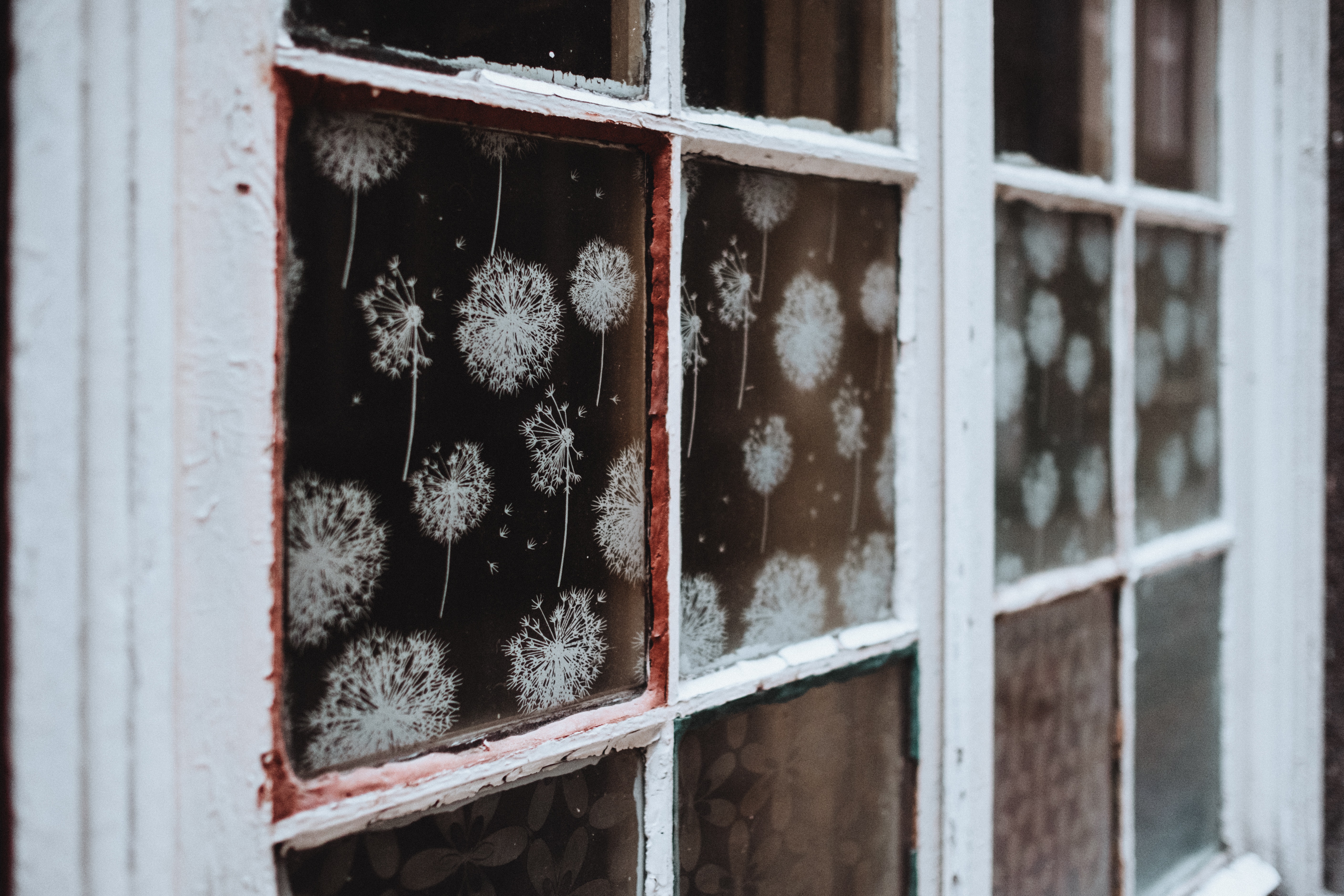 White wooden 6-pane window photo