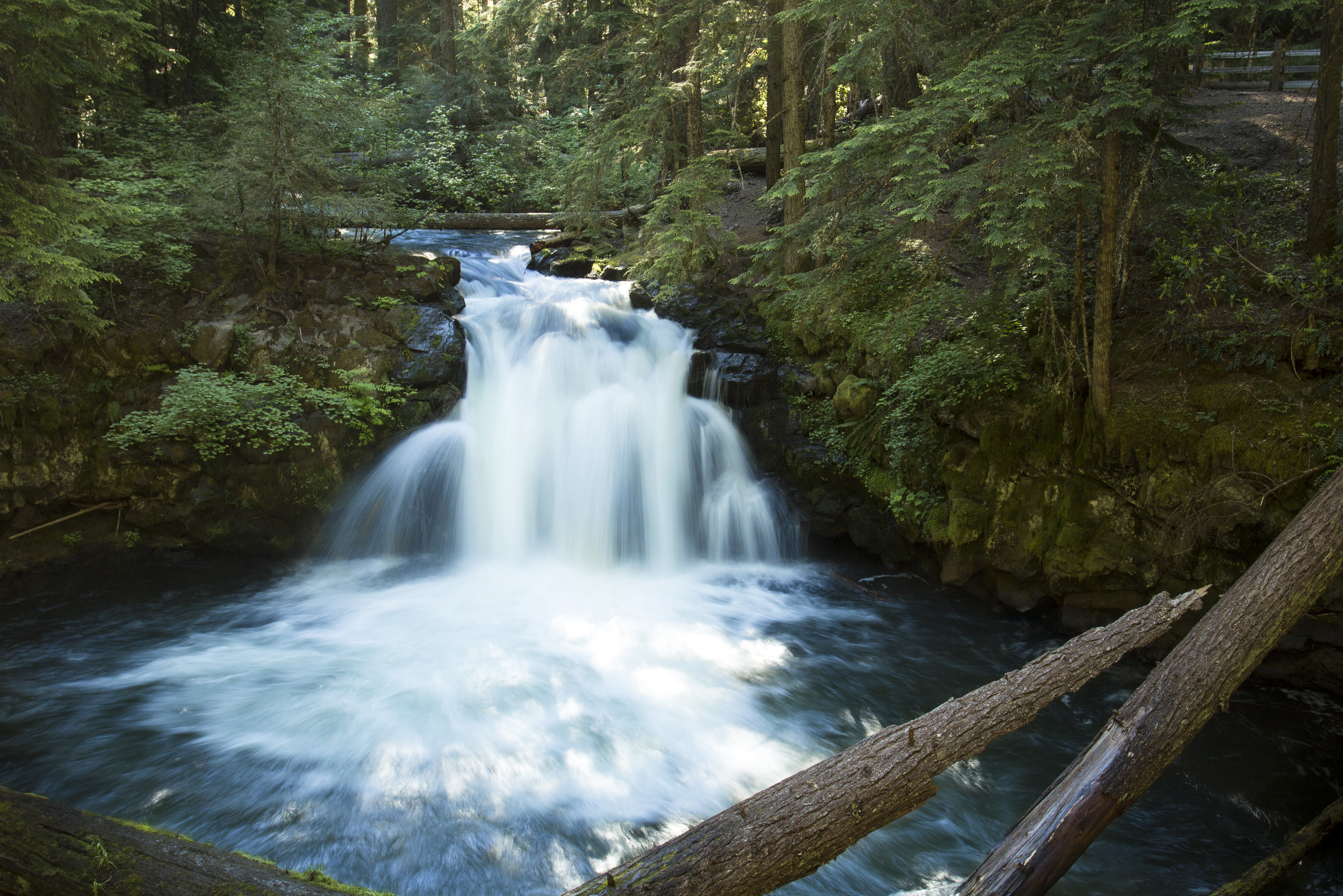 Whitehorse Falls, Oregon, Creek, Falls, Forest, Logs, HQ Photo