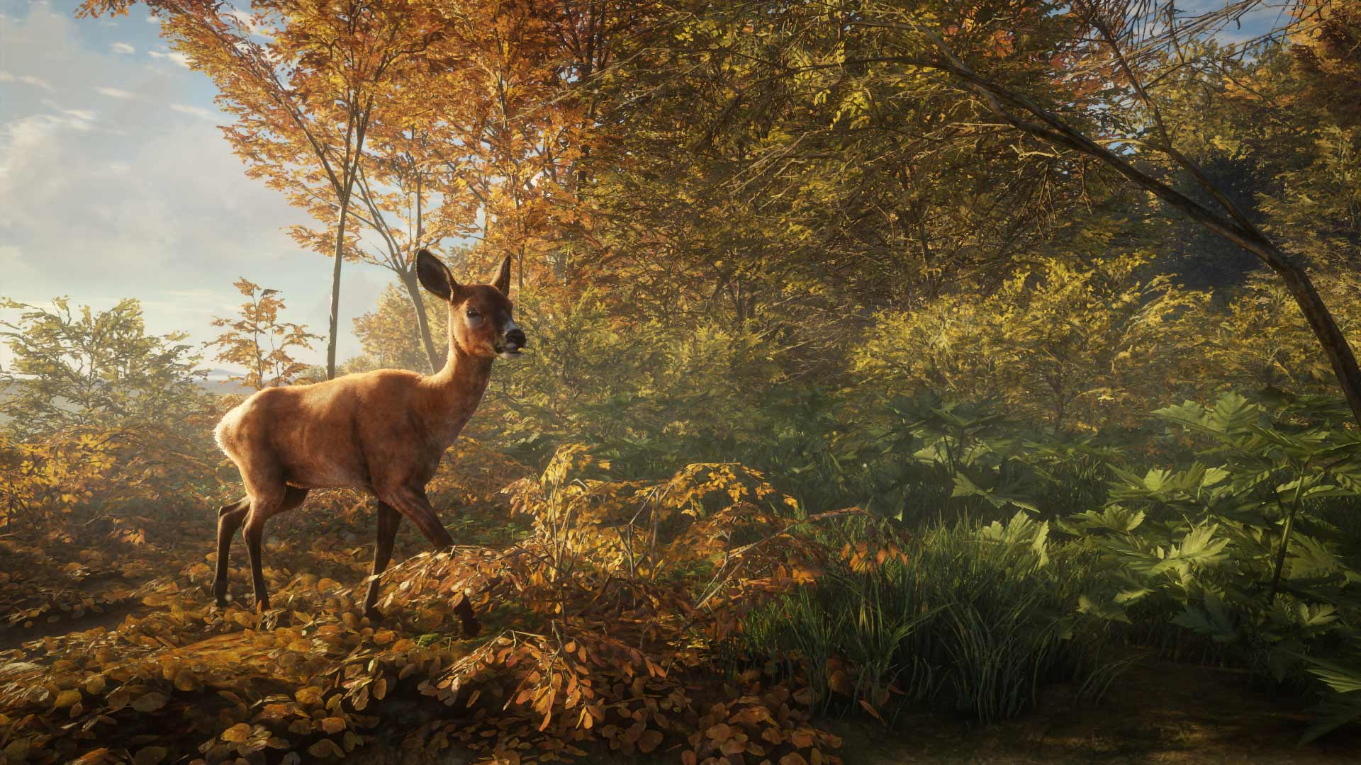 Why The Hunter Call of the Wild is the best stealth game you've ...