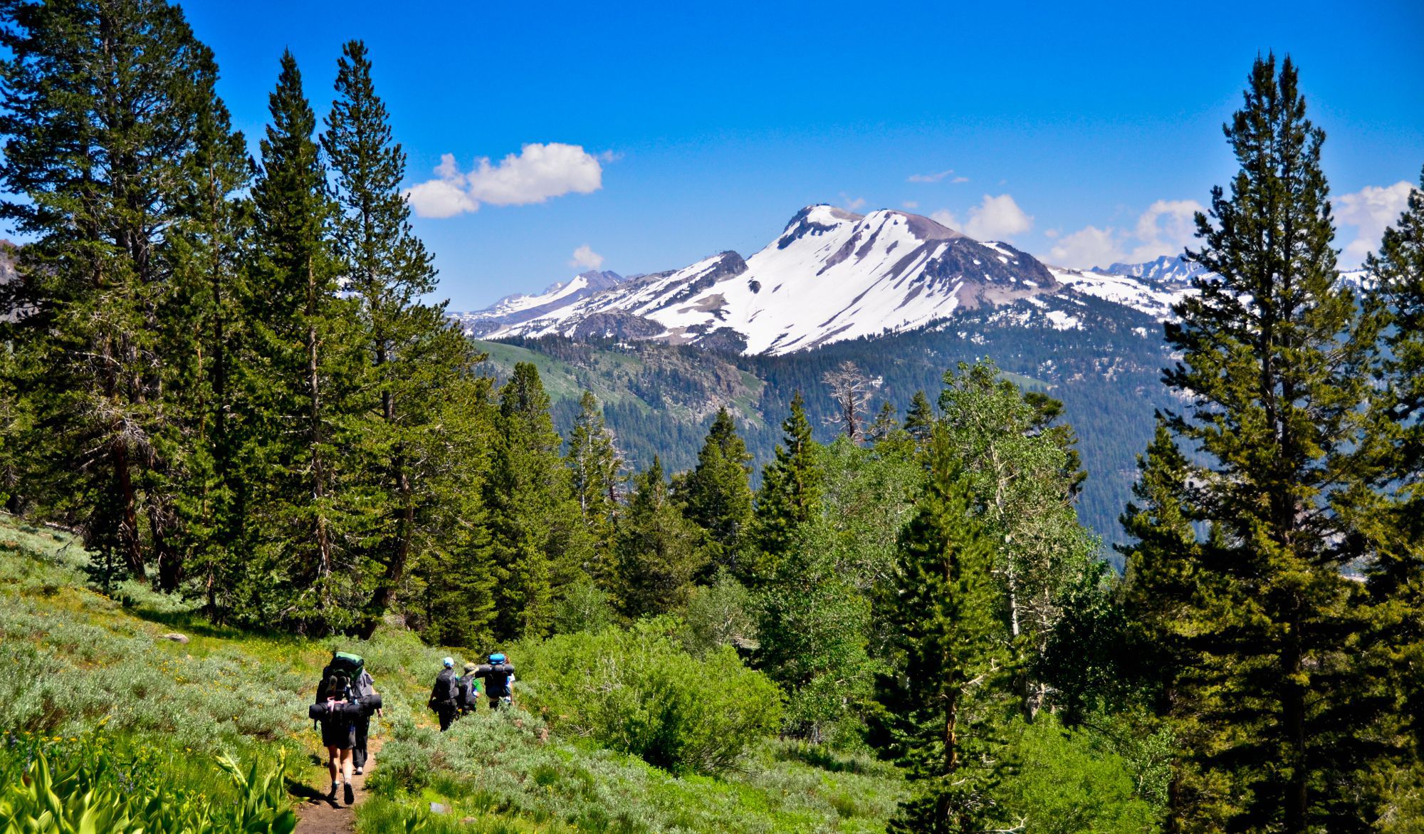 The 'Wild' effect: Hikers are flooding the Pacific Crest Trail