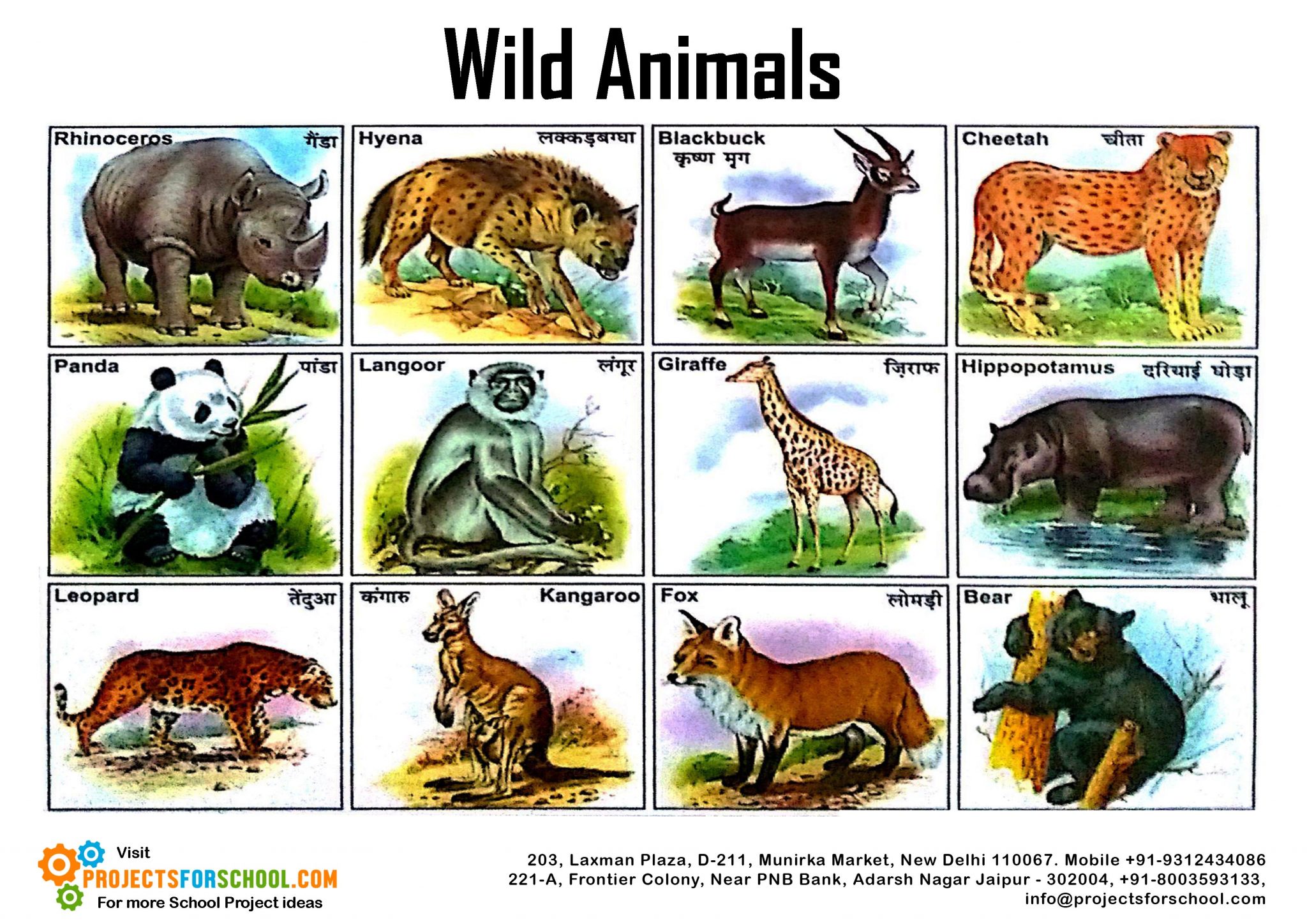 Kids Science Projects - Wild Animals 2 - free download