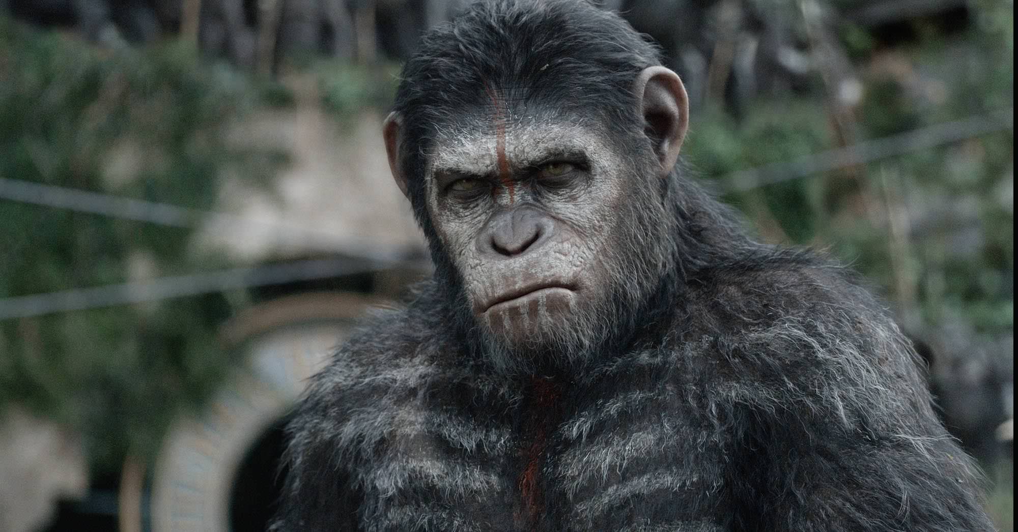 WILD WILD PODCAST #6: Dawn of the Planet of the Apes in 4DX is a ...