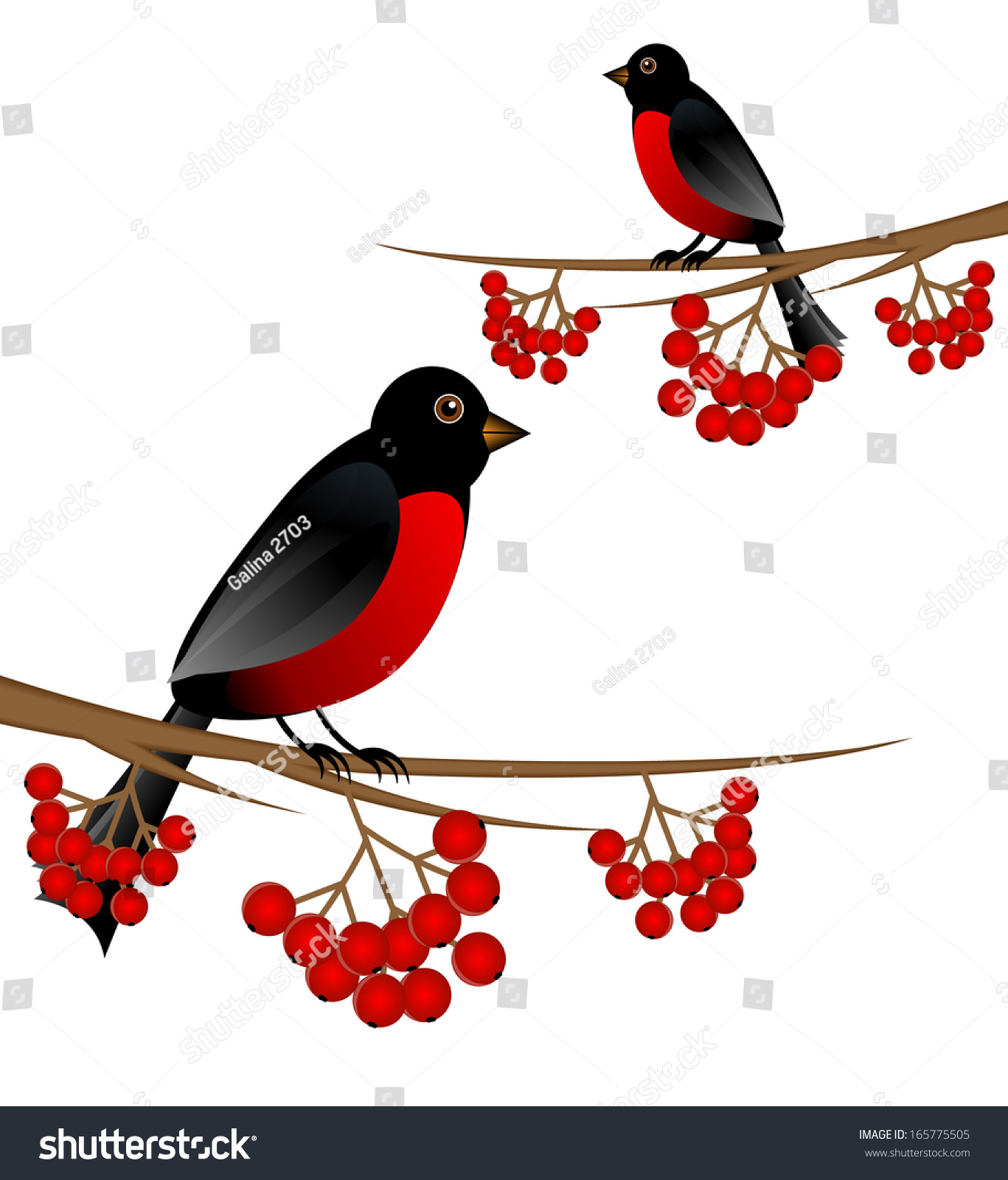 Branch Tree Berry Wild Ash Bird Stock Vector 165775505 - Shutterstock