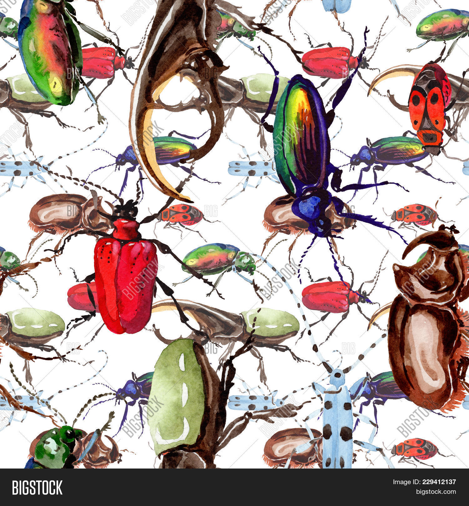 Exotic Beetles Wild Insect Pattern Image & Photo | Bigstock