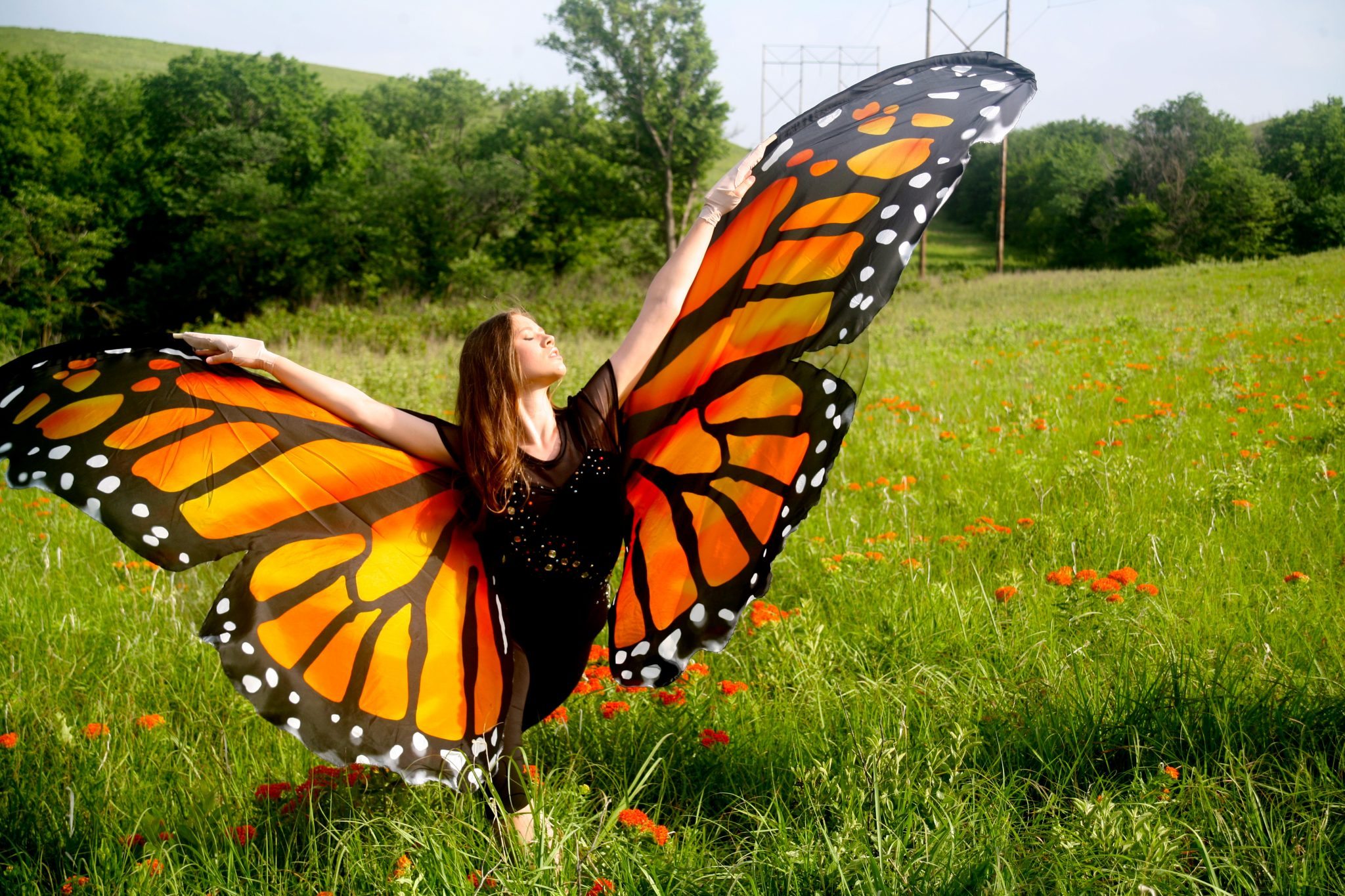 Wild for Monarchs Butterflys - Wild Ones - Butterfly Garden ...