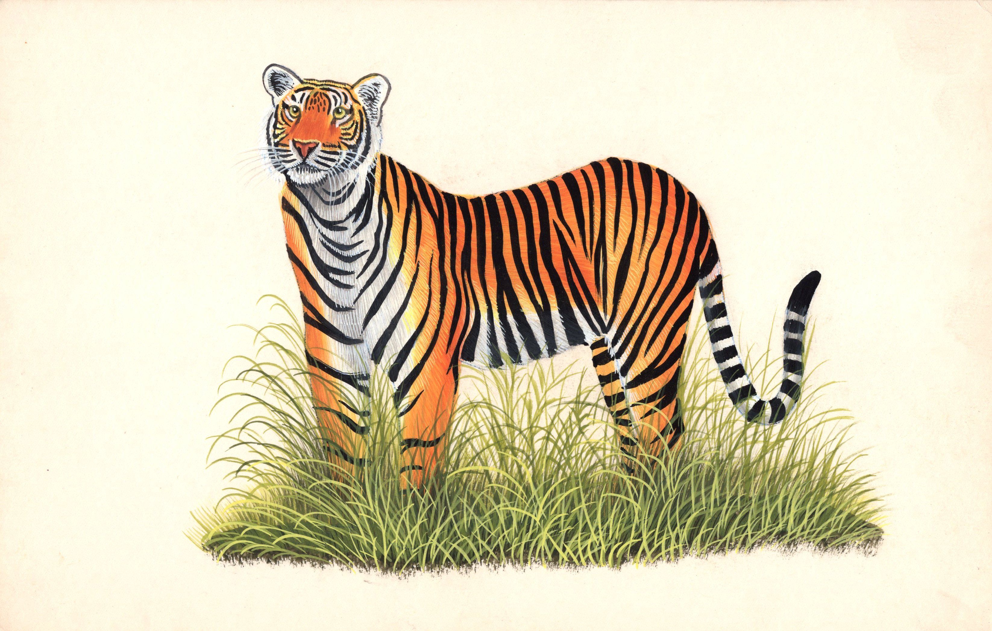 Royal Bengal Tiger Handmade Art Grand Indian Miniature Wild Cat ...