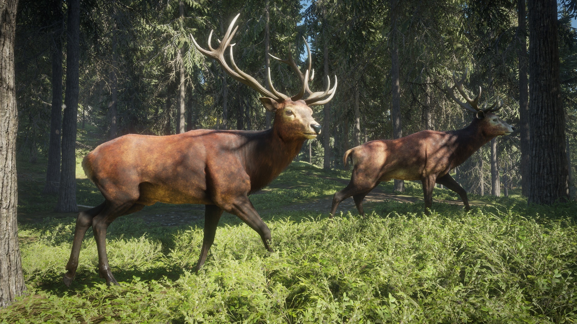theHunter™: Call of the Wild :: The species of Hirschfelden and ...