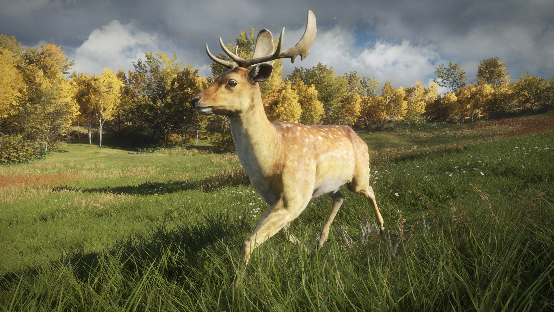 theHunter™: Call of the Wild :: The species of Hirschfelden and ...