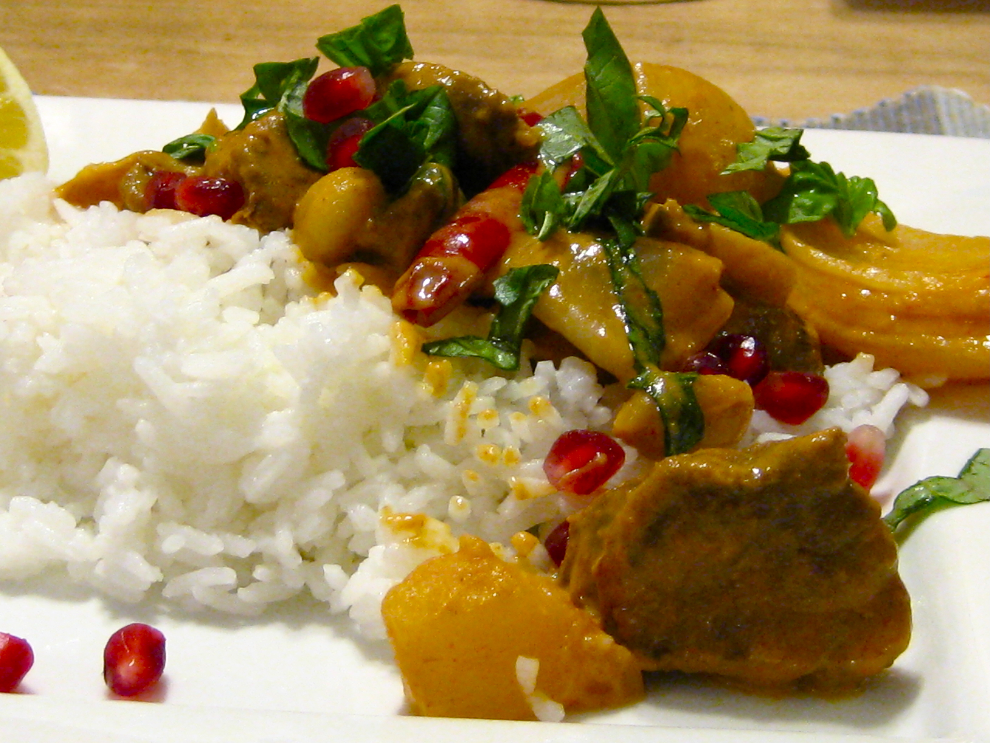 Thai-Style Wild Venison Curry « (y)our food choices™