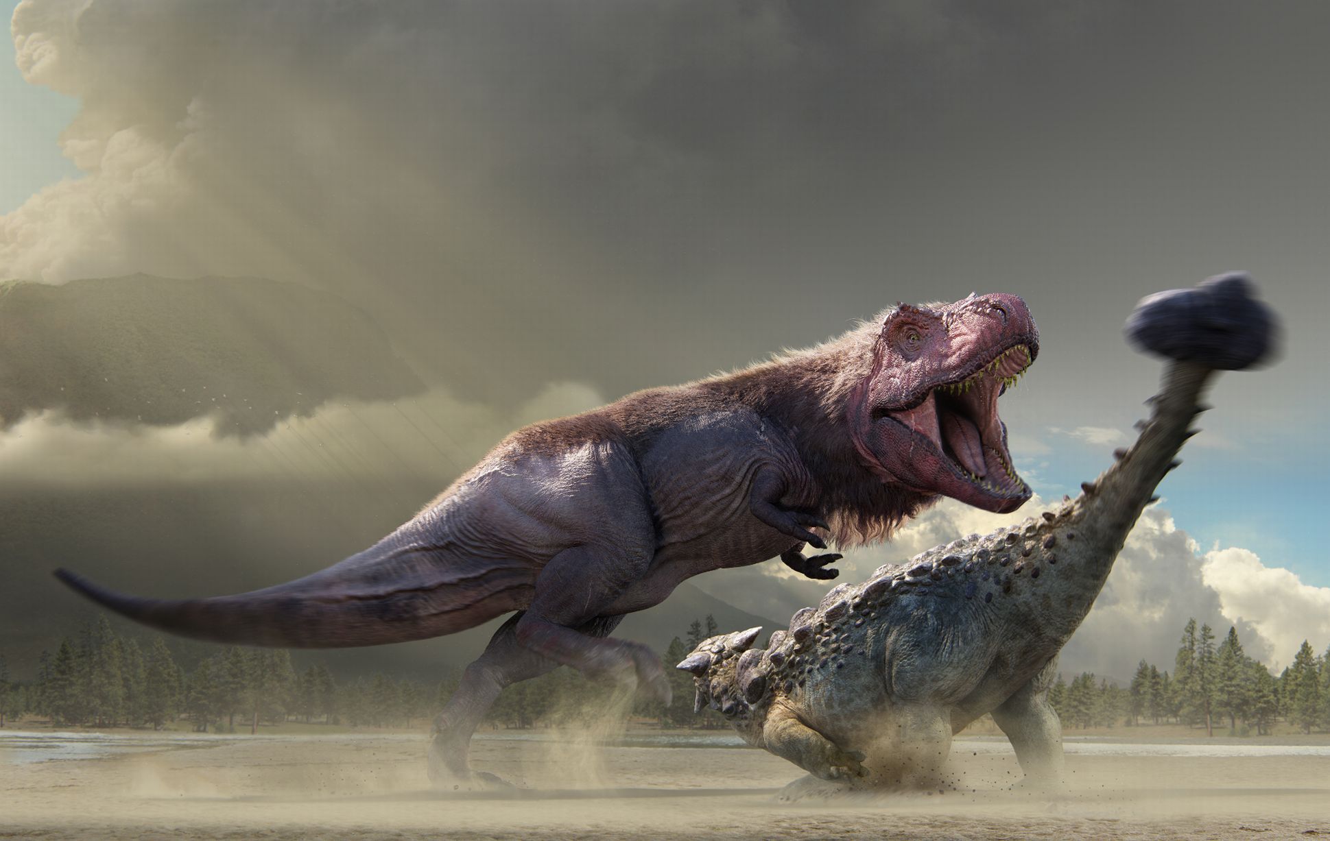 Tyrannosaurus rex and Ankylosaurus. From Dinosaurs In The Wild with ...