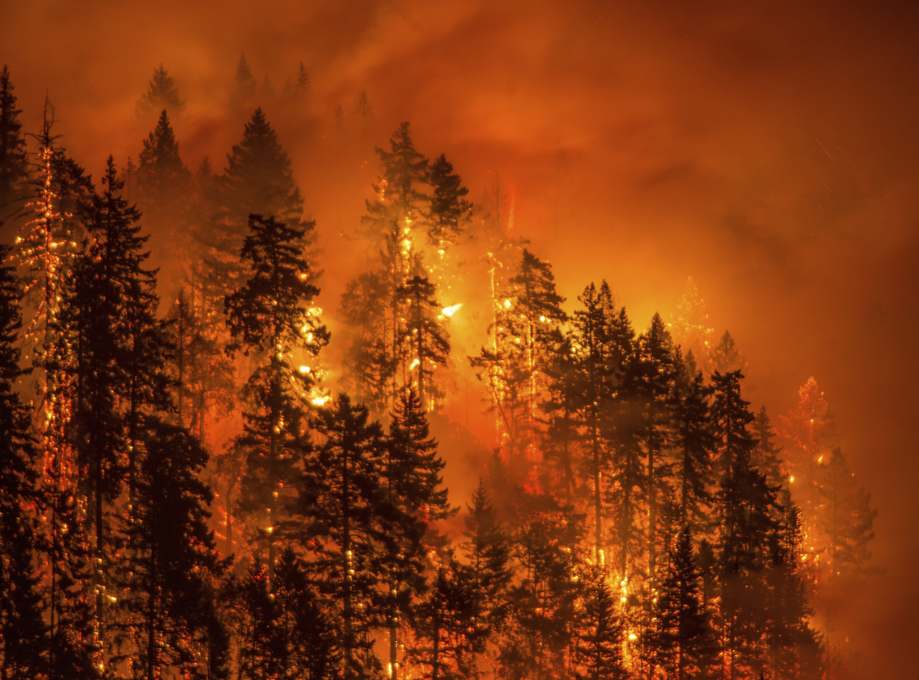 Wildfire devastates Oregon's Columbia Gorge — and nature lovers ...
