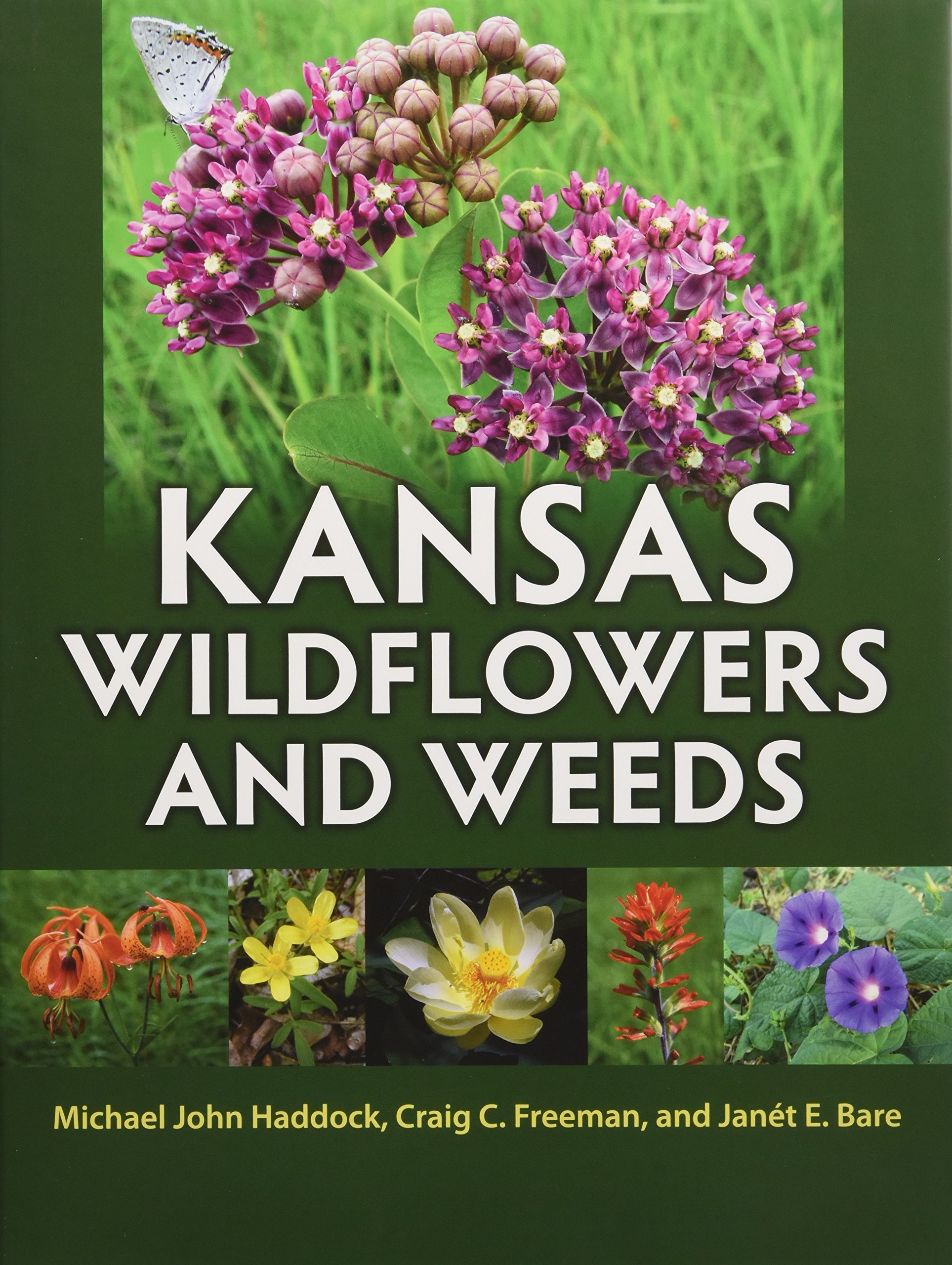 Kansas Wildflowers and Weeds: Michael John Haddock, Craig C. Freeman ...
