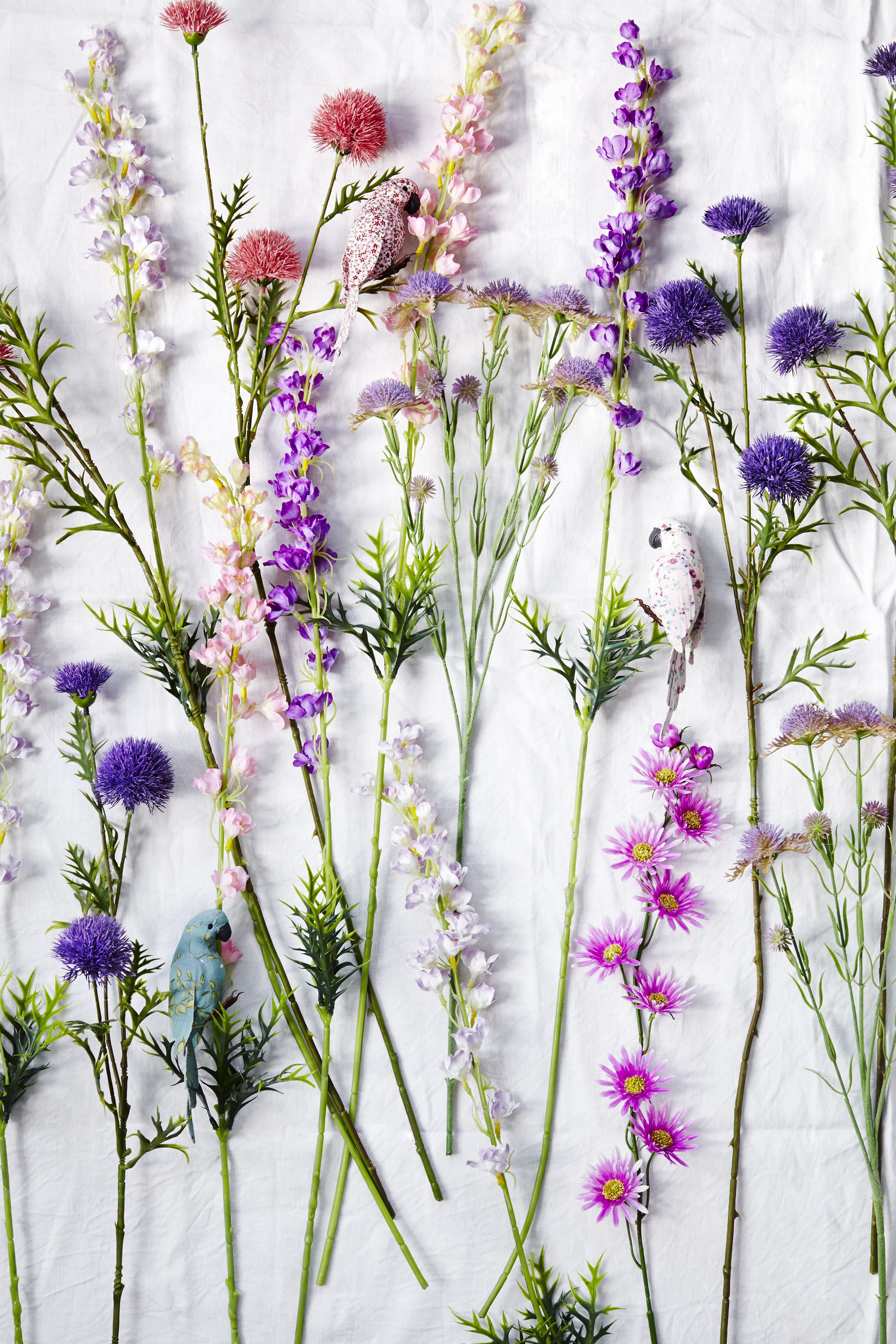 RICE SS15 magalogue | Lavender, Flowers and Wild flowers