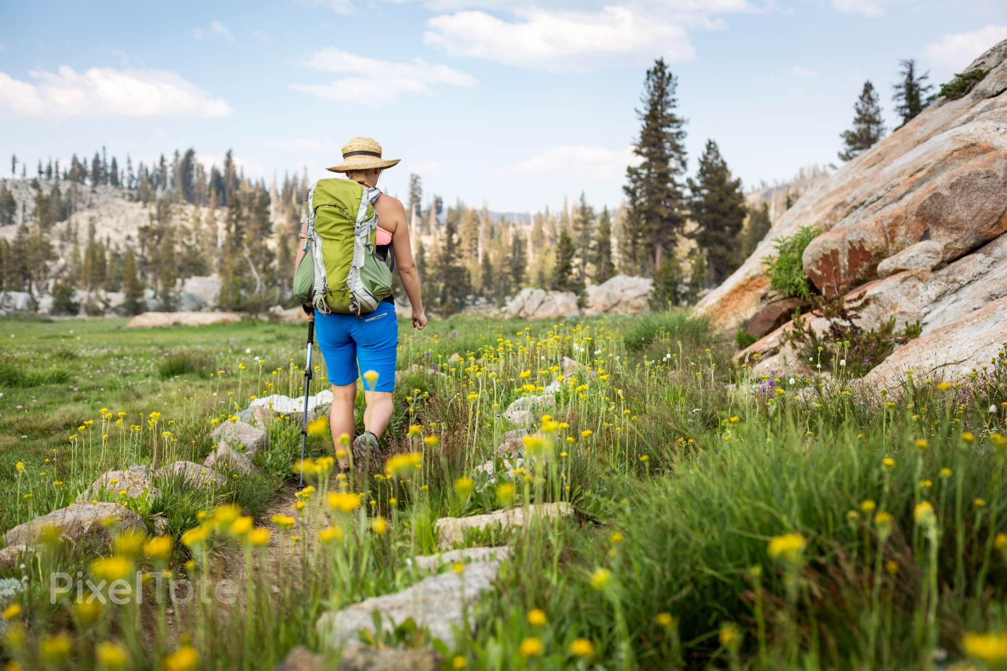 Female Backpacker Hiking Through an Alpine Meadow with Blooming Wild ...