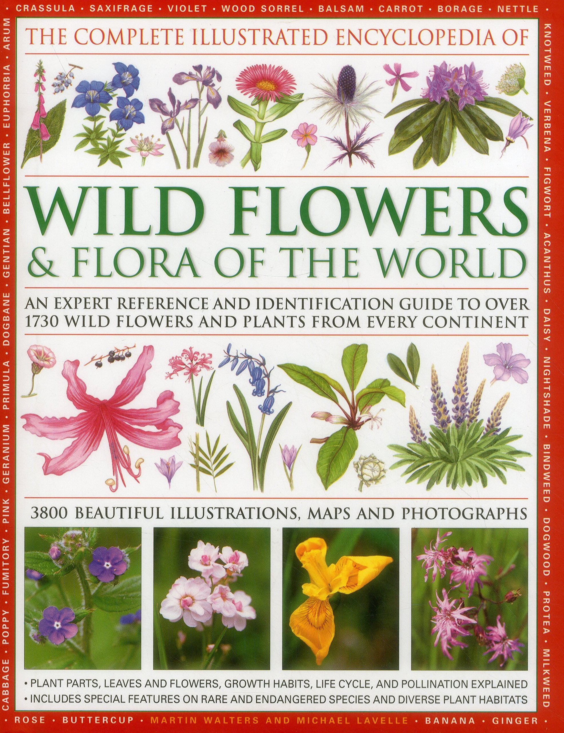 The Complete Illustrated Encyclopedia of Wild Flowers and Flora of ...