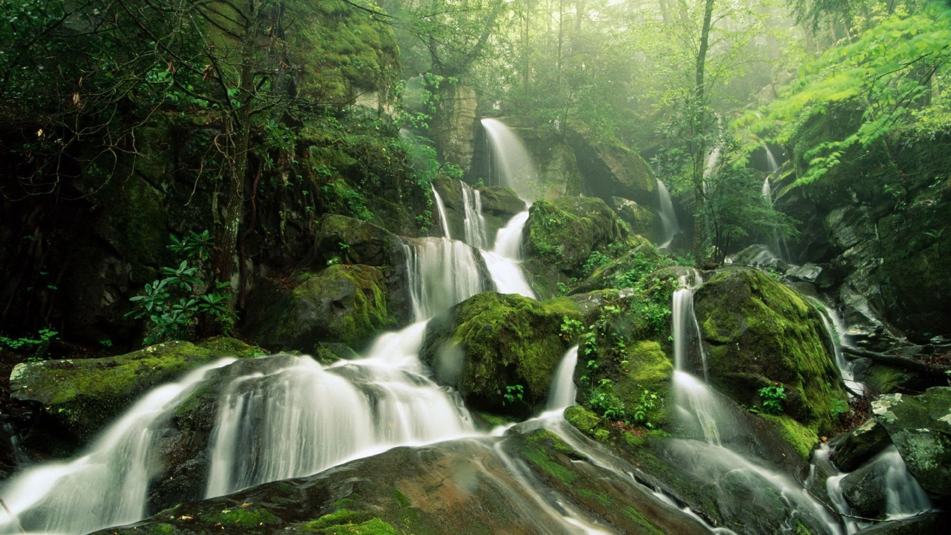 Nature, waterfalls, wild, forest (#228674)