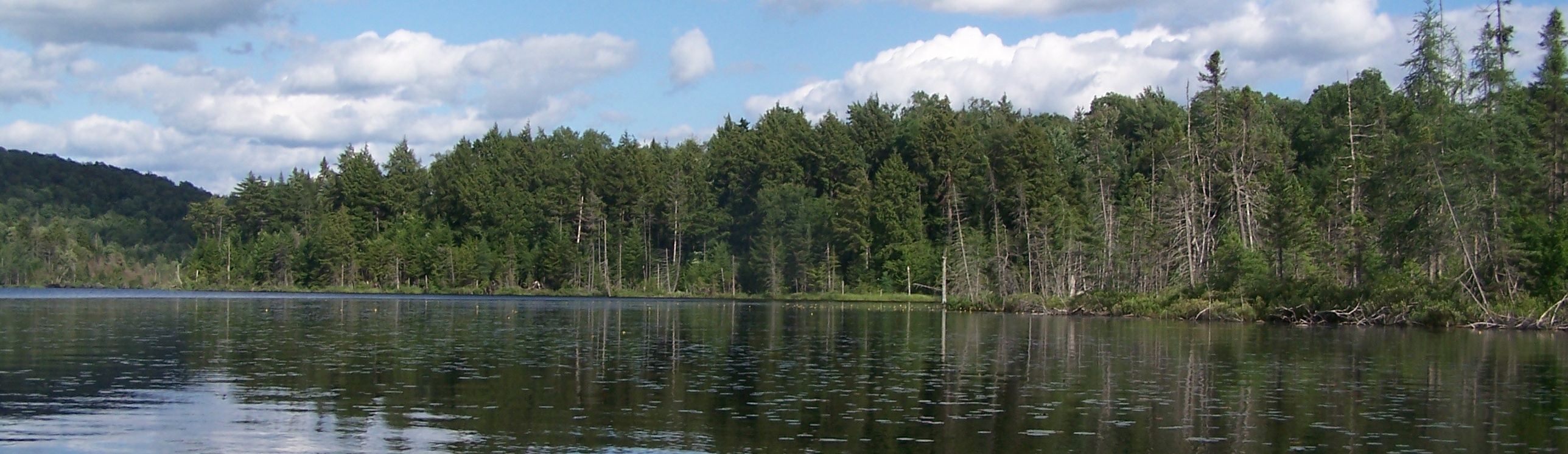 Aldrich Pond Wild Forest