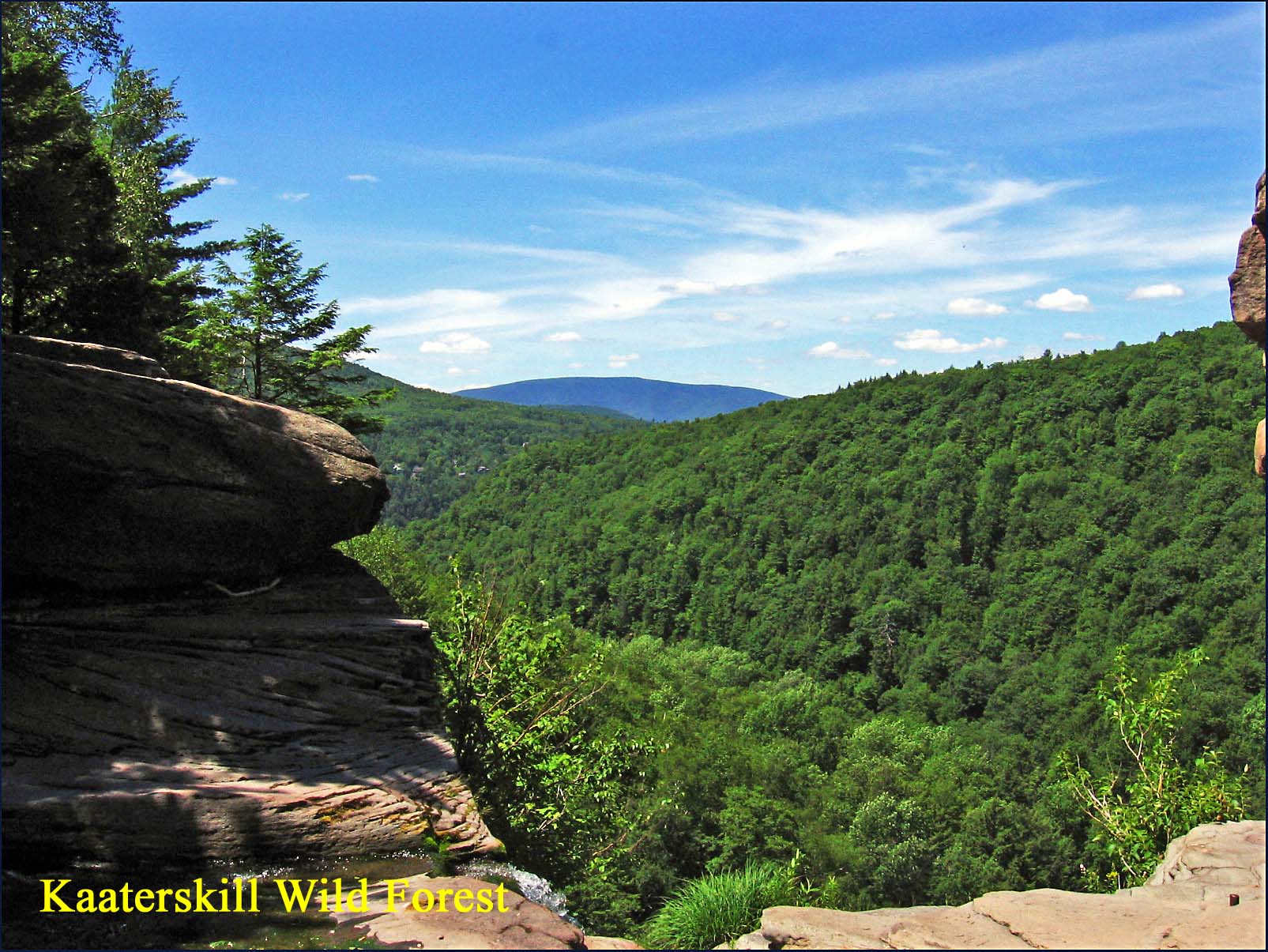 kaaterskill wild forest view1