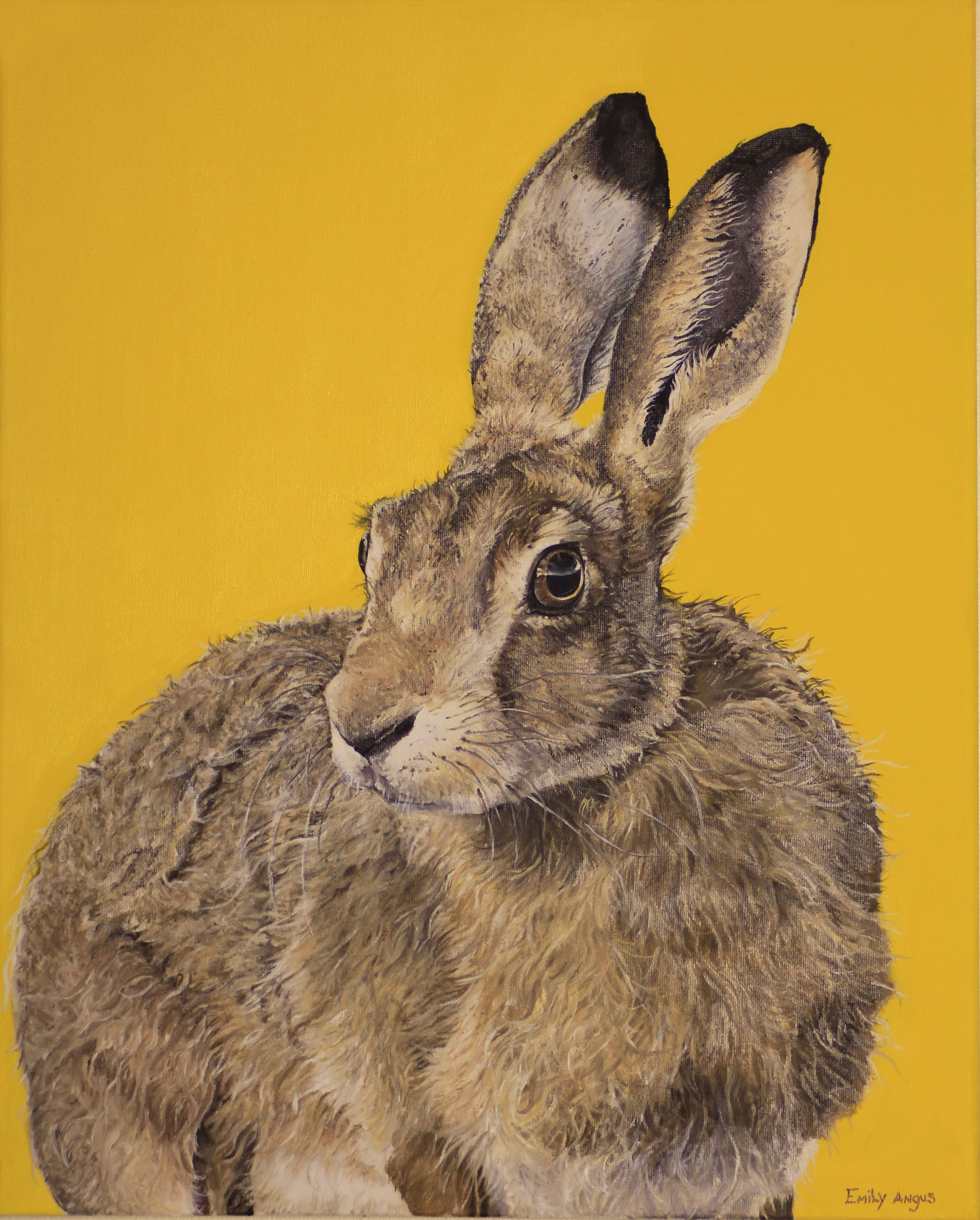 The wild hare - Emily Angus | ~ ~ My Love Of Hares Will ...
