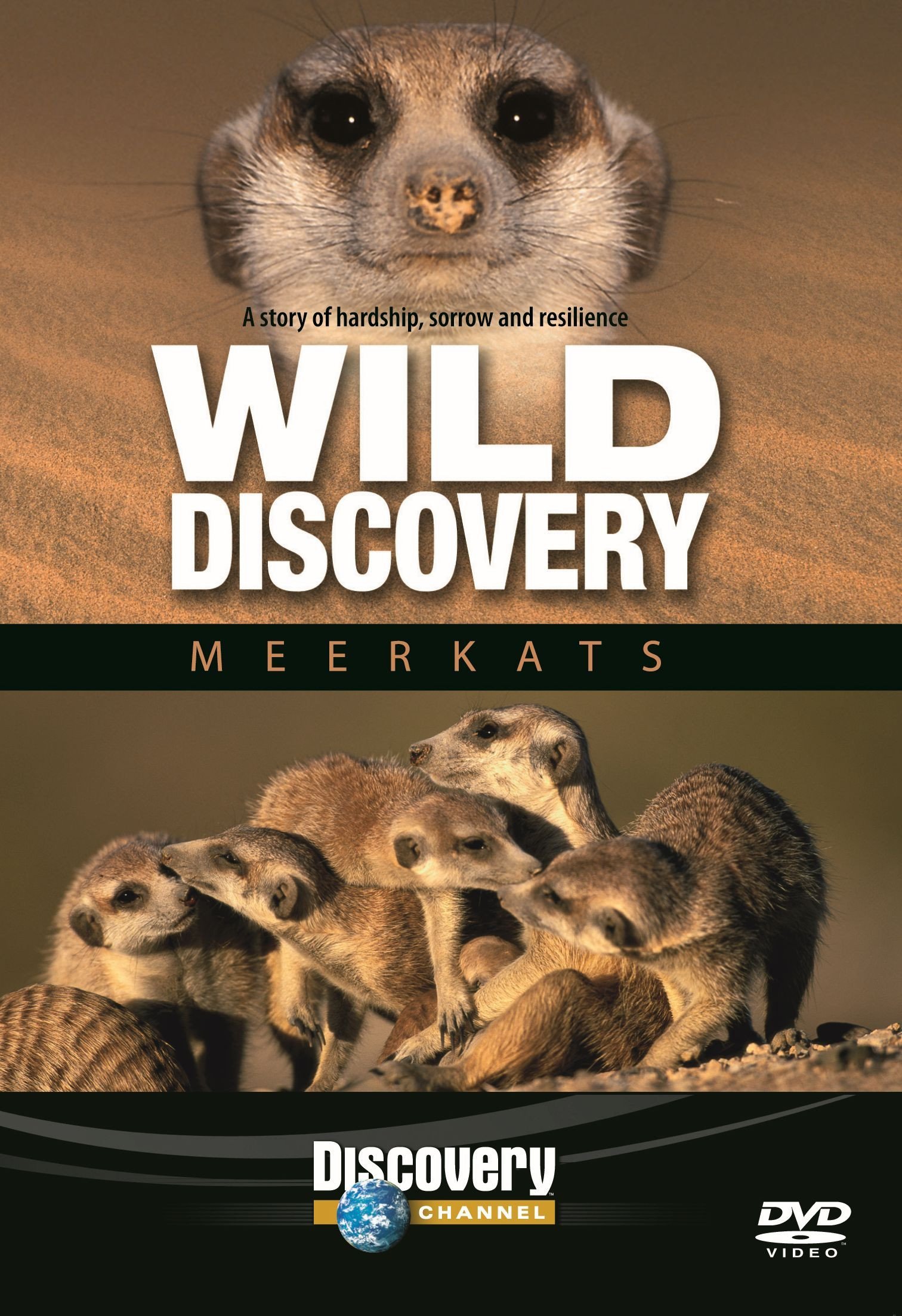 Wild Discovery Meerkats [DVD-R] - Canny Store