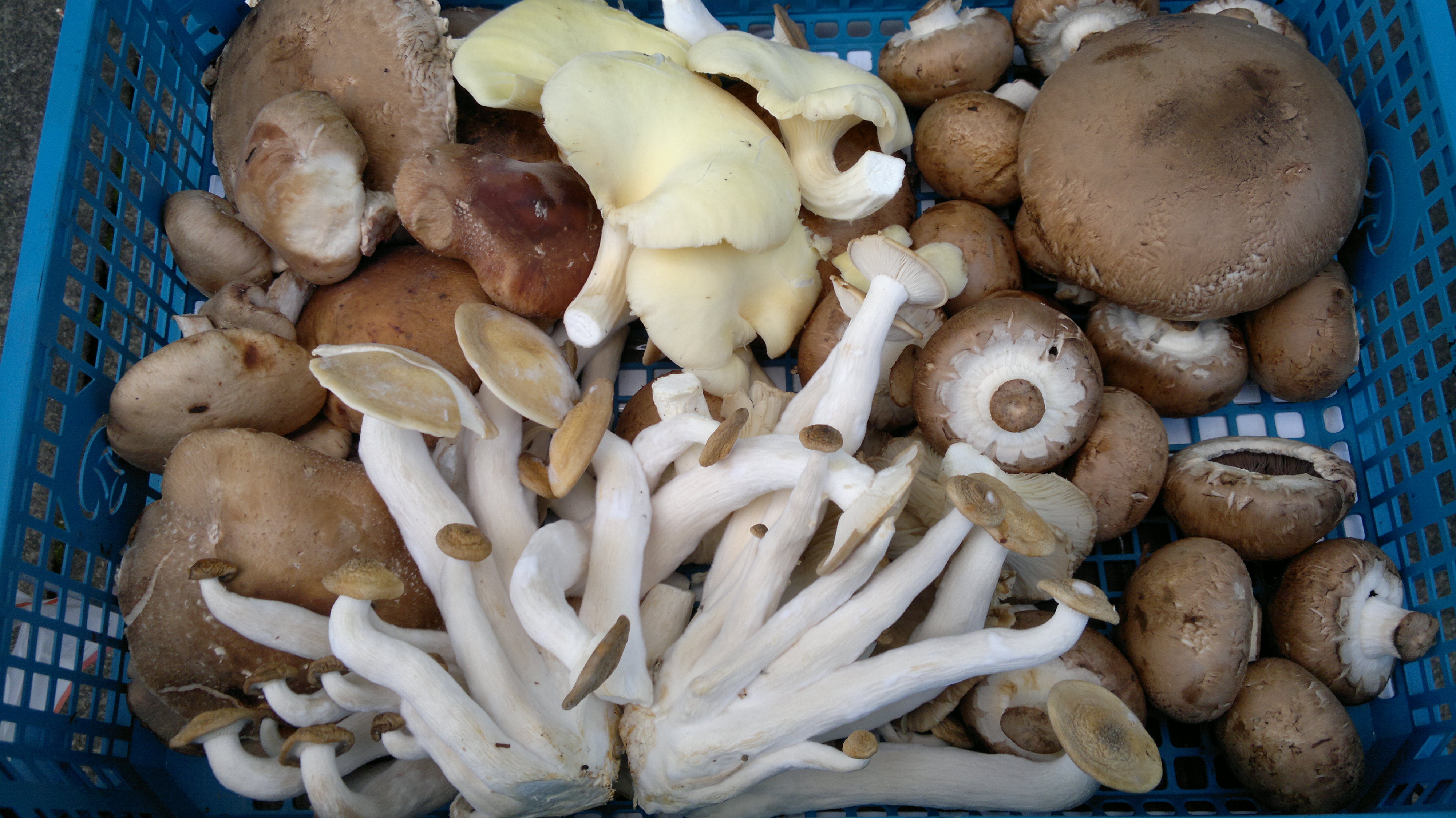 Local” meat and “wild” mushrooms – Galloway Wild Foods