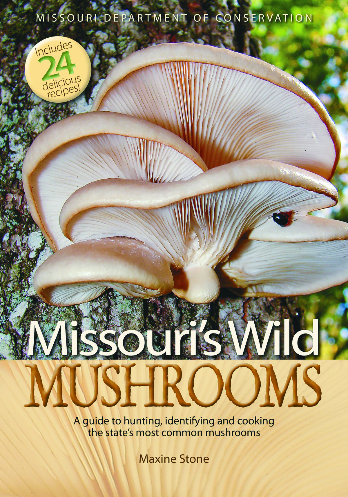 MDC offers new guidebooks on mushrooms and herps | Missouri ...