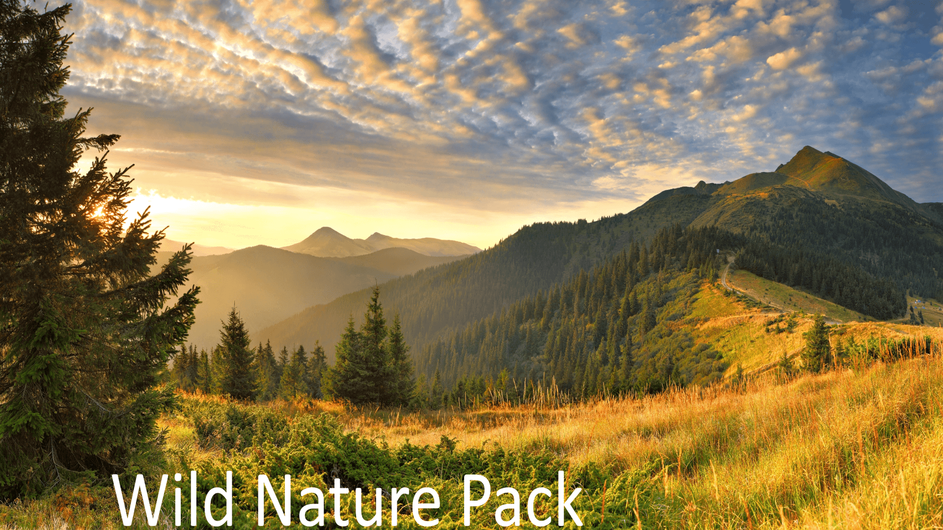 Wild Nature Pack by Andreas Engebretsen in Sound FX - UE4 Marketplace