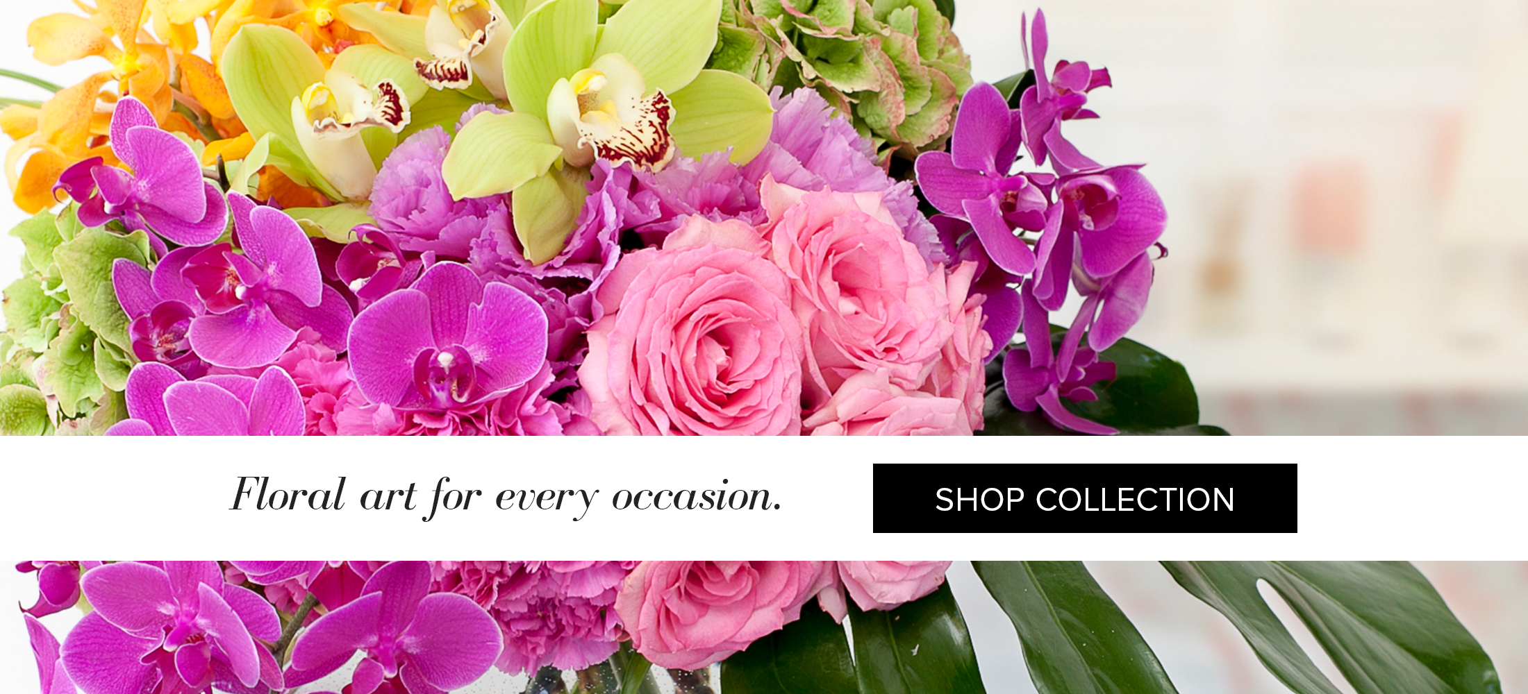 El Cajon Florist | Flower Delivery by Wild Orchid Florist