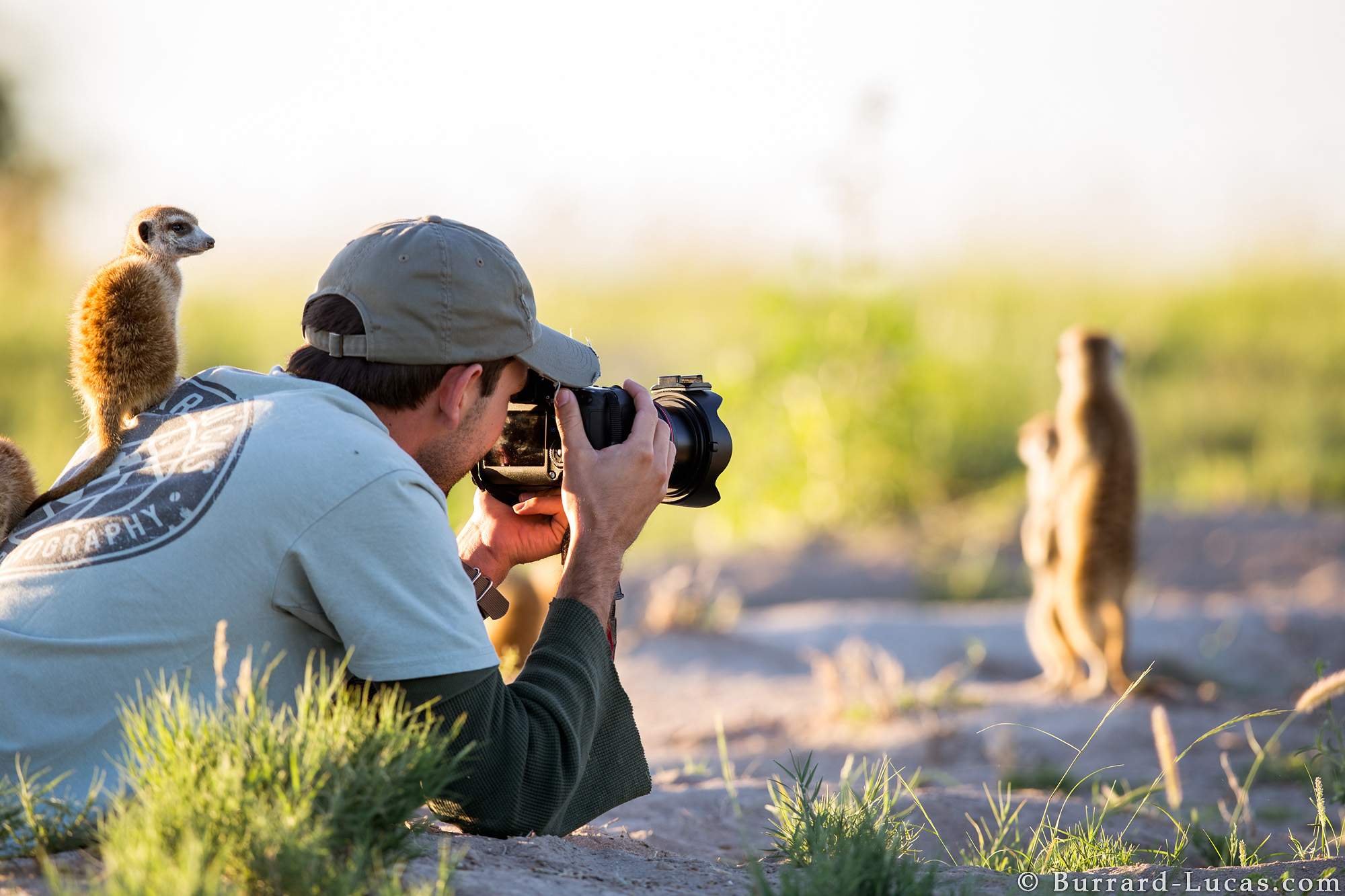 500px Blog » The passionate photographer community. » 10 Wildlife ...