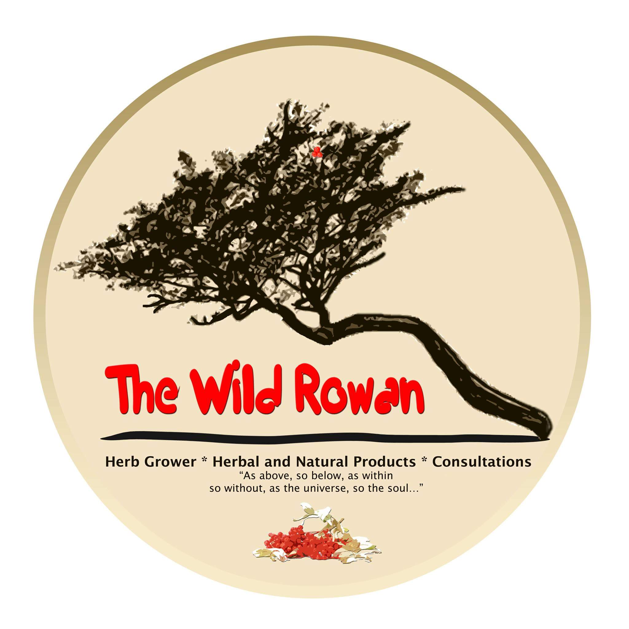 Herbal Medicine | The Wild Rowan | About Us