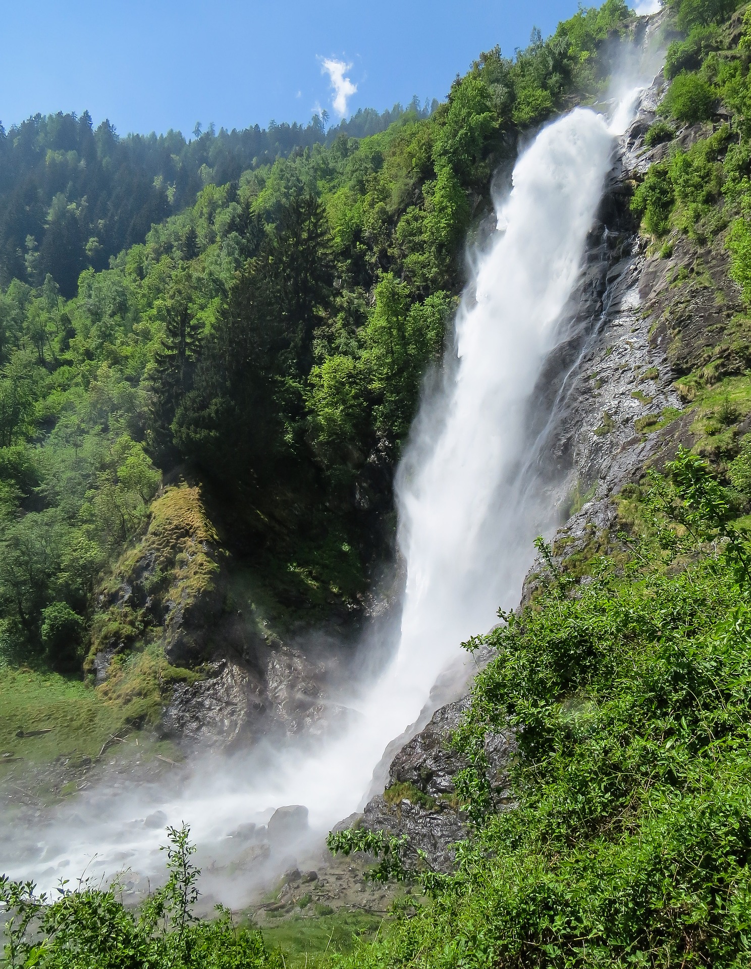 Wild Waterfall