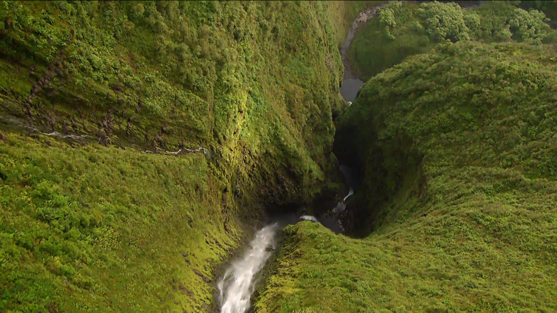 Waterfall Warriors - Wild Hawaii Video - National Geographic Channel