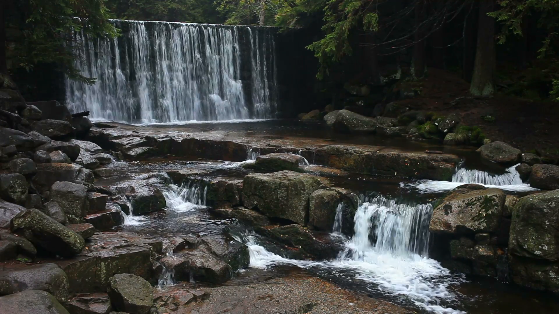 Wild Waterfall in Mountain Forest Stock Video Footage - VideoBlocks
