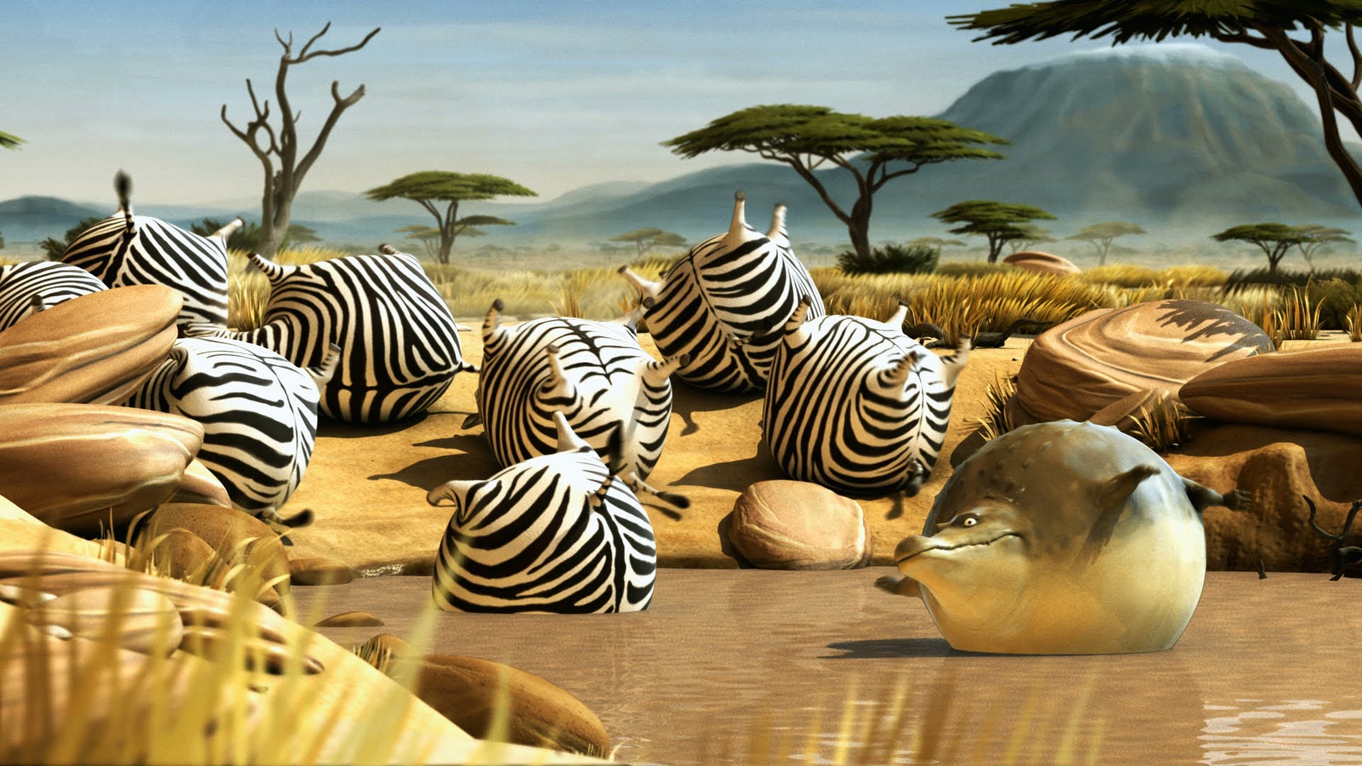 Kyra & Constantin Rollin' Wild (Zebras) - YouTube