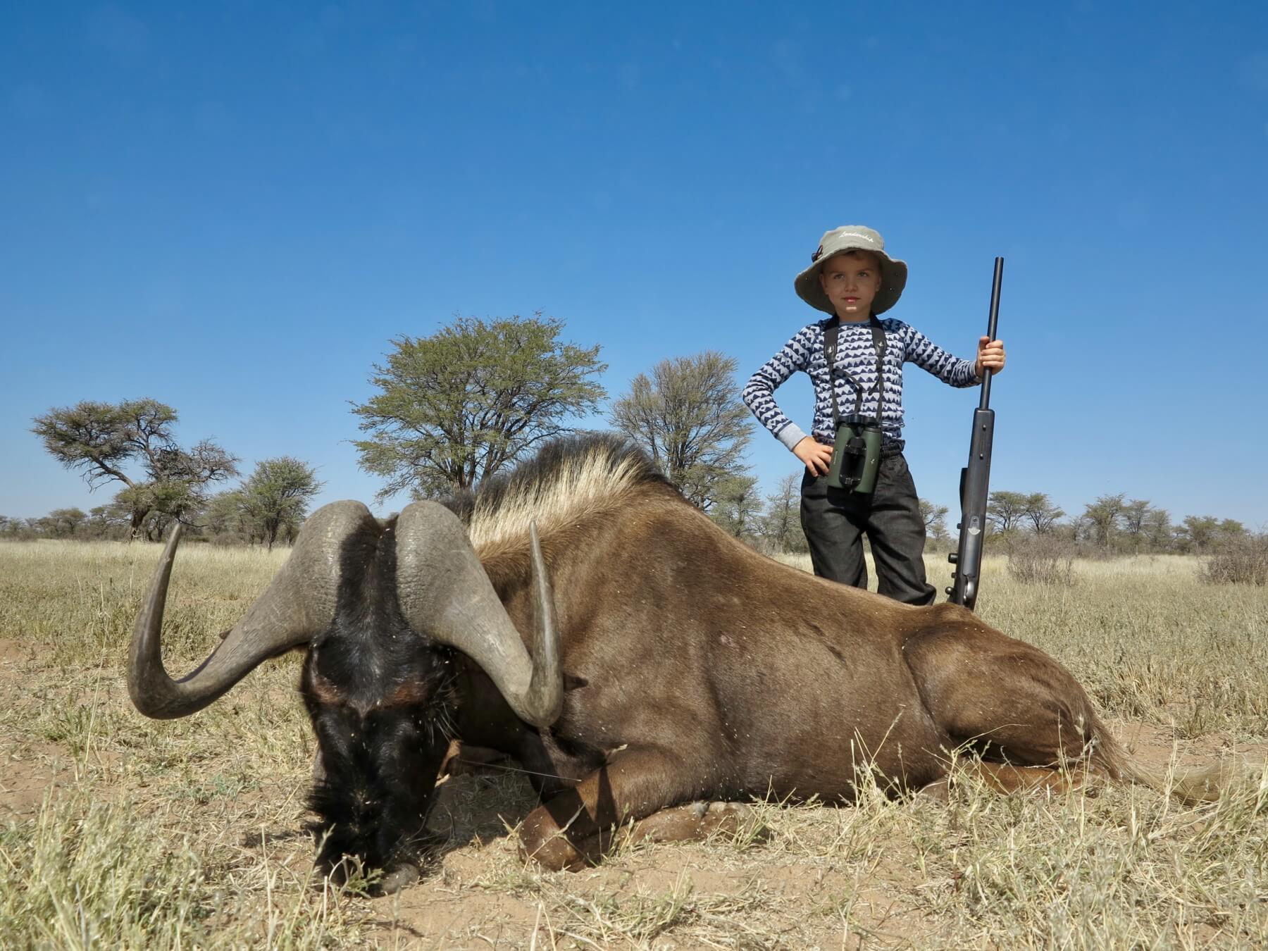 Black / Blue Wildebeest » Schalk Pienaar Hunting Safaris in Namibia