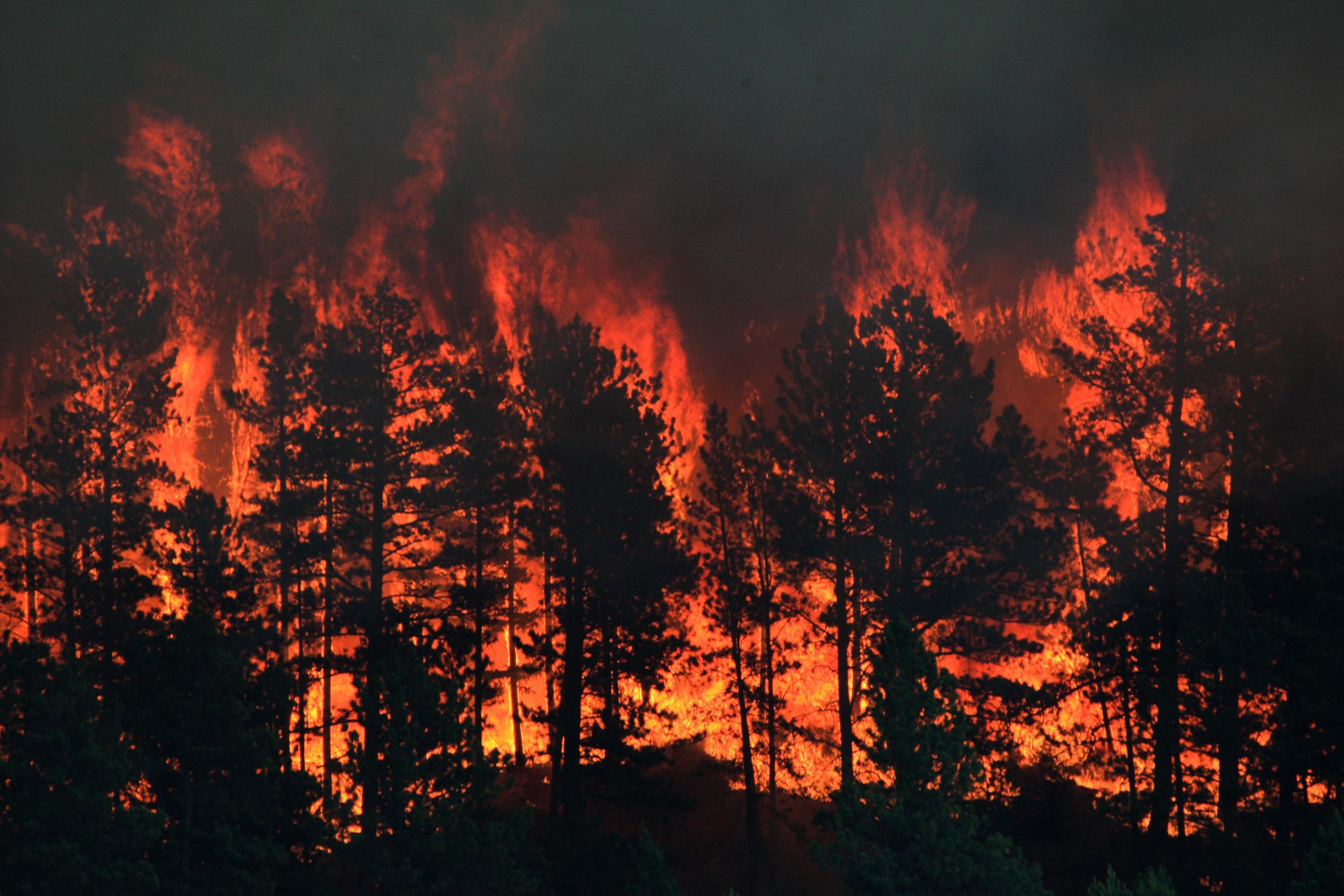 North-central Montana wildfire grows to 13 square miles | The ...
