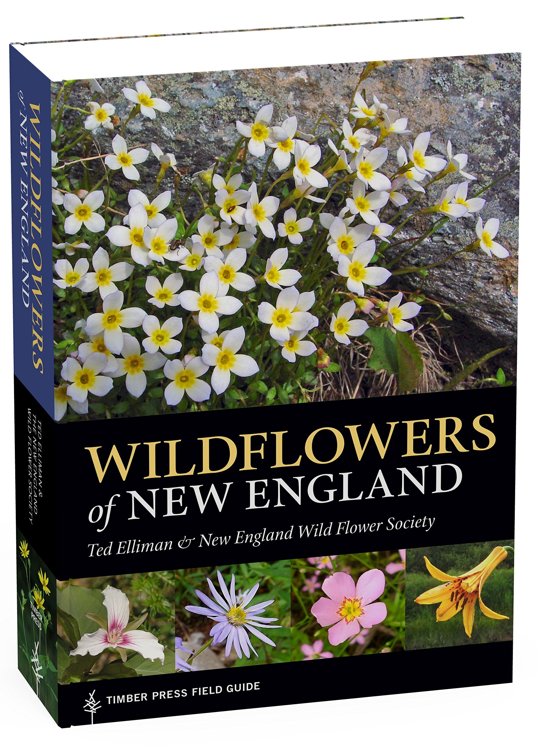 Wildflowers of New England (A Timber Press Field Guide): Ted Elliman ...